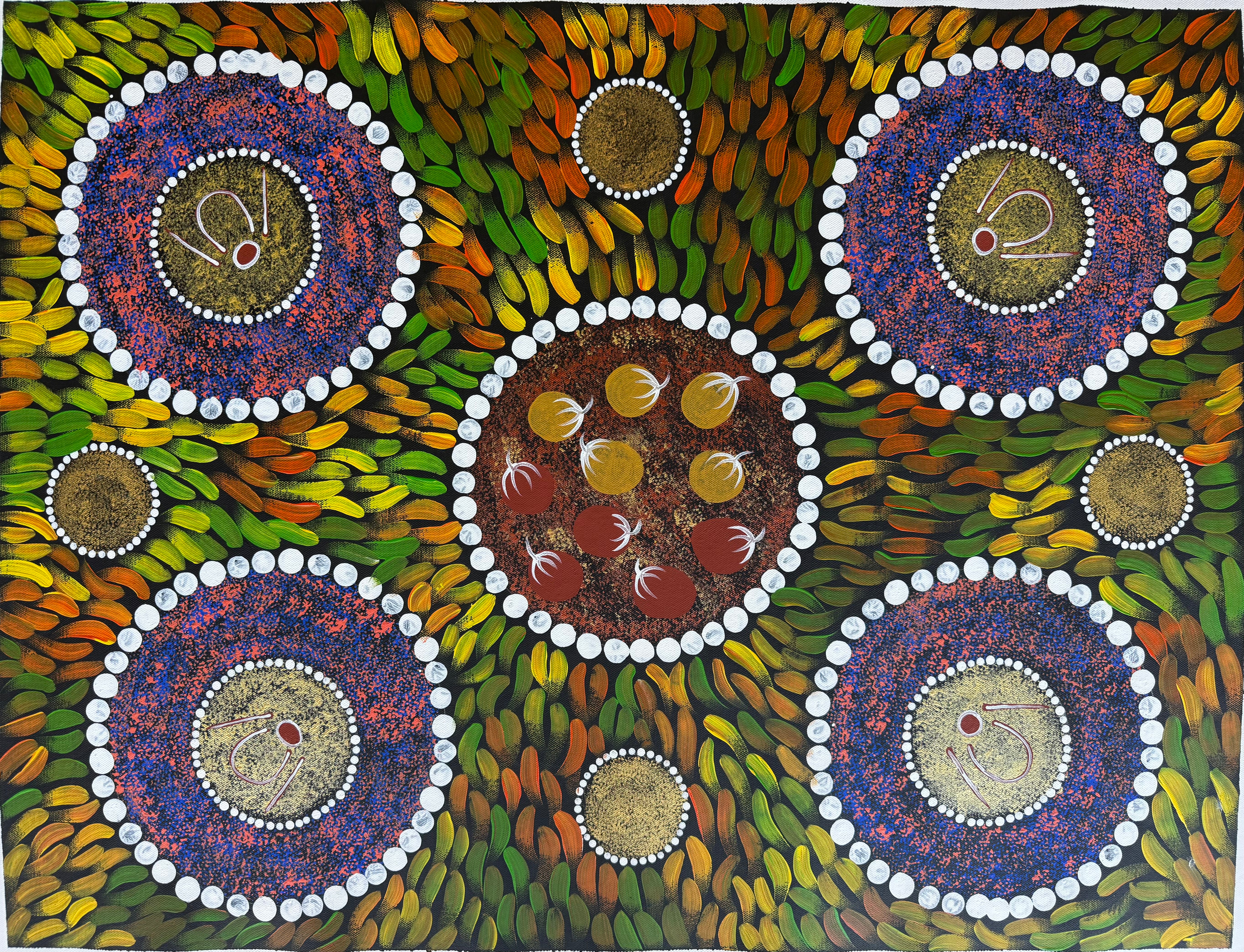 Sabina Gorey - Bush Medicine Leaves .04-6