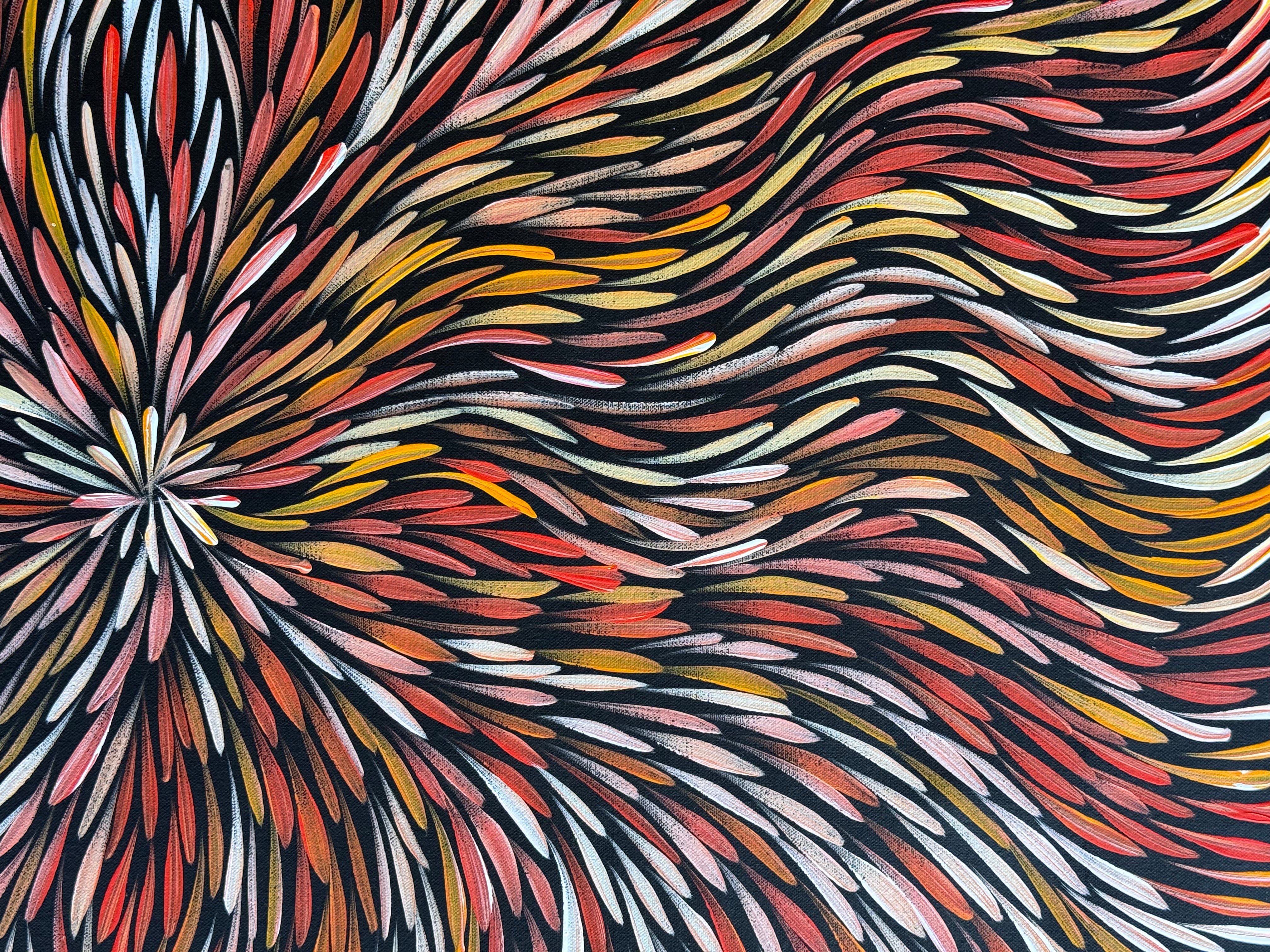 Sharon Numina - Bush Medicine Leaves .50-11