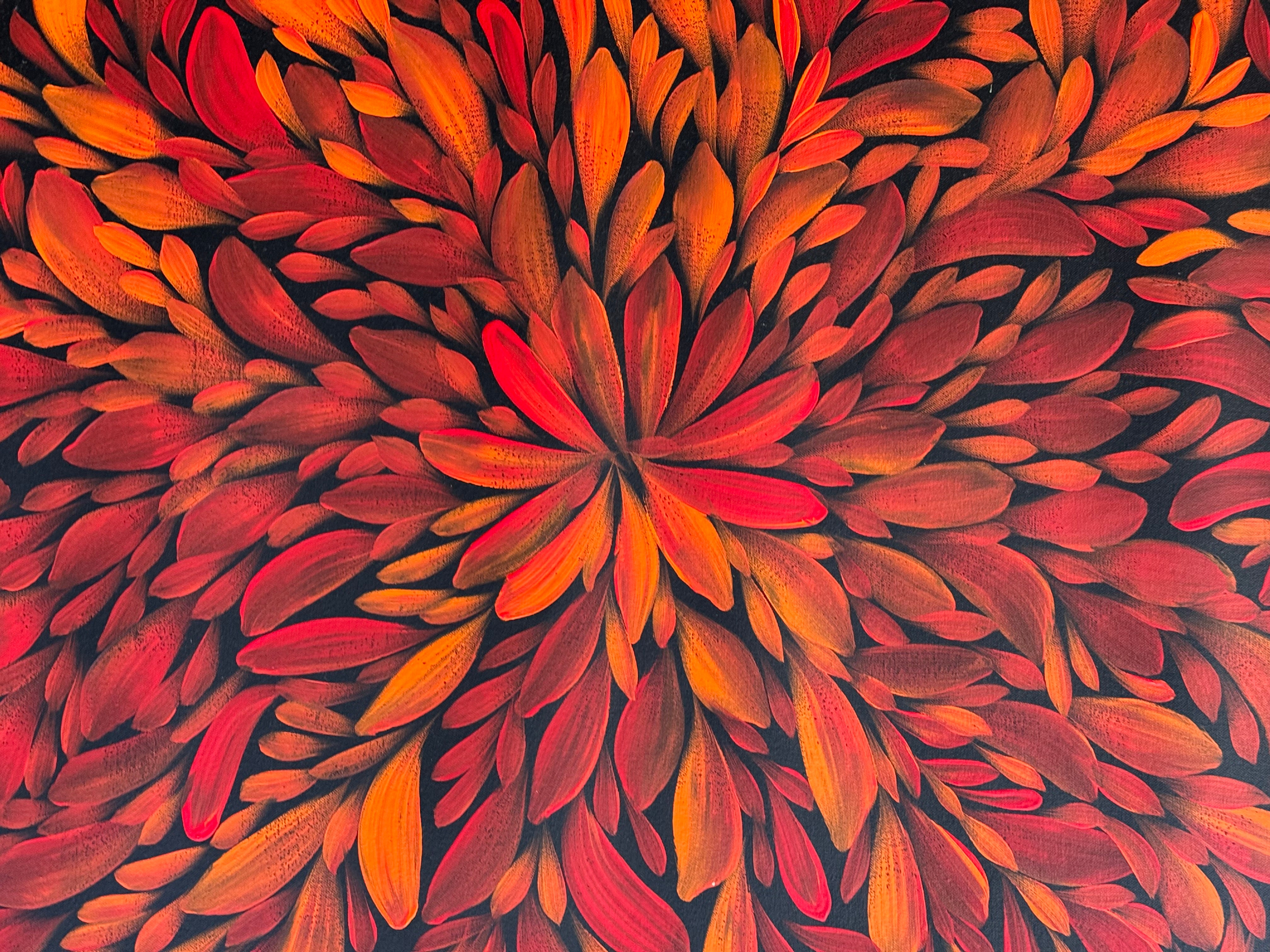 Louise Numina Napananka - Bush Medicine Leaves .57-57