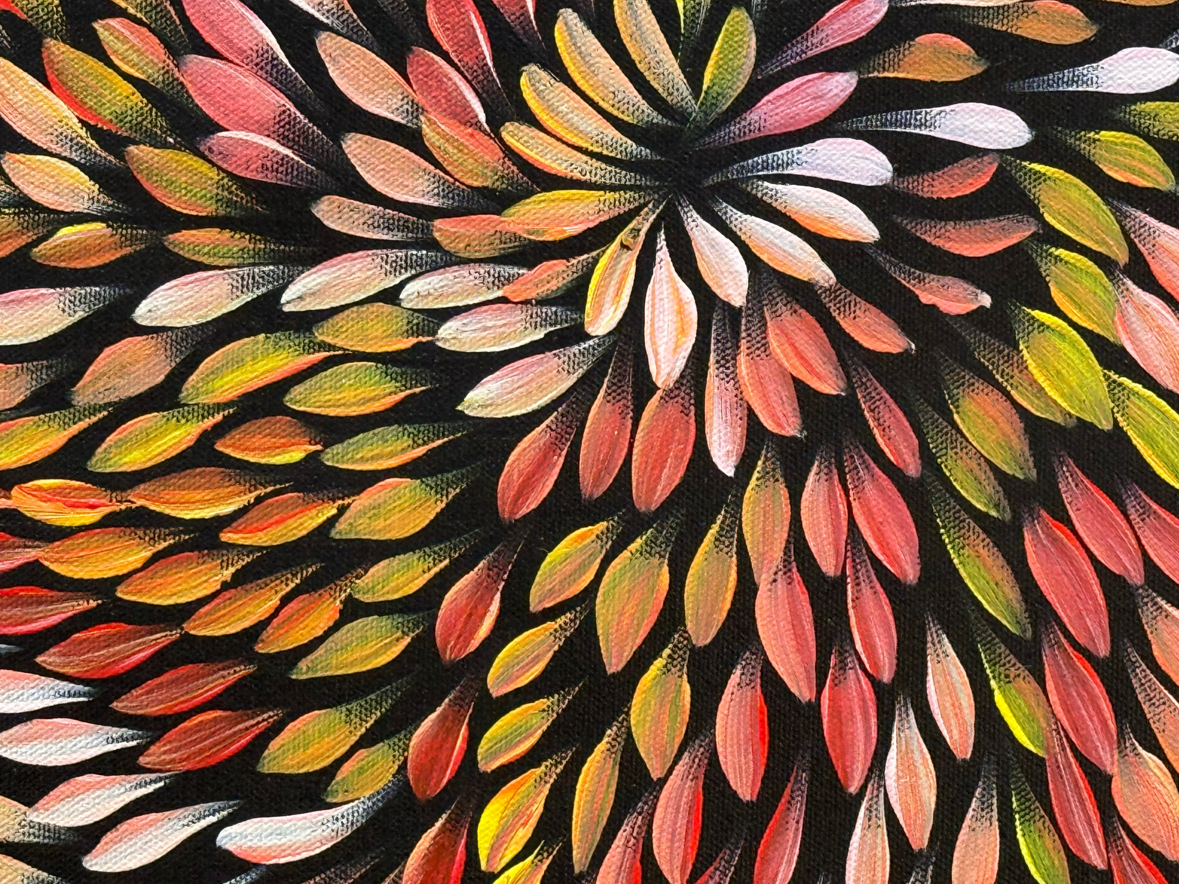 Caroline Numina - Bush Medicine Leaves .04-41