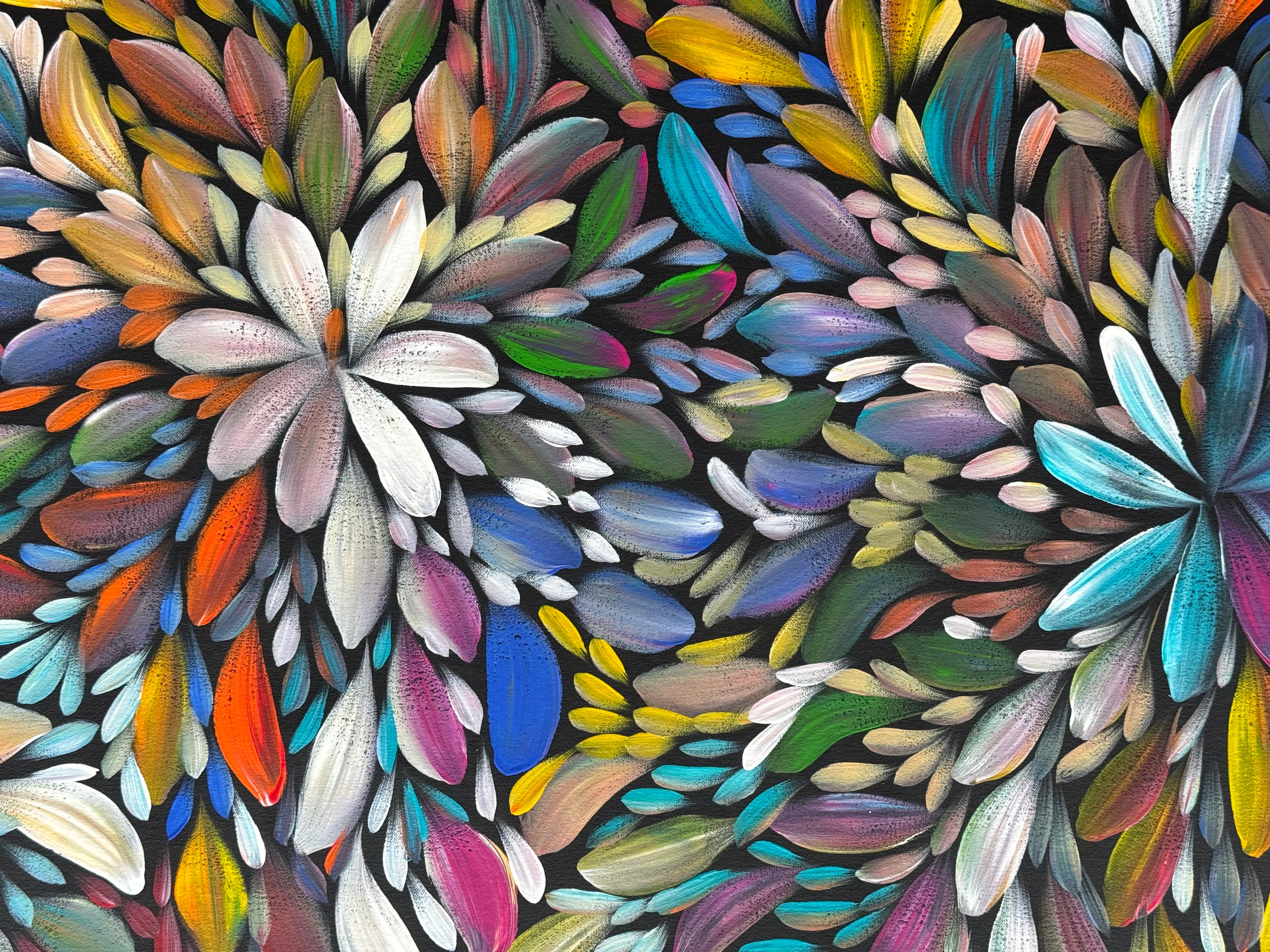 Louise Numina Napananka - Bush Medicine Leaves .75-22 - DAMAGED