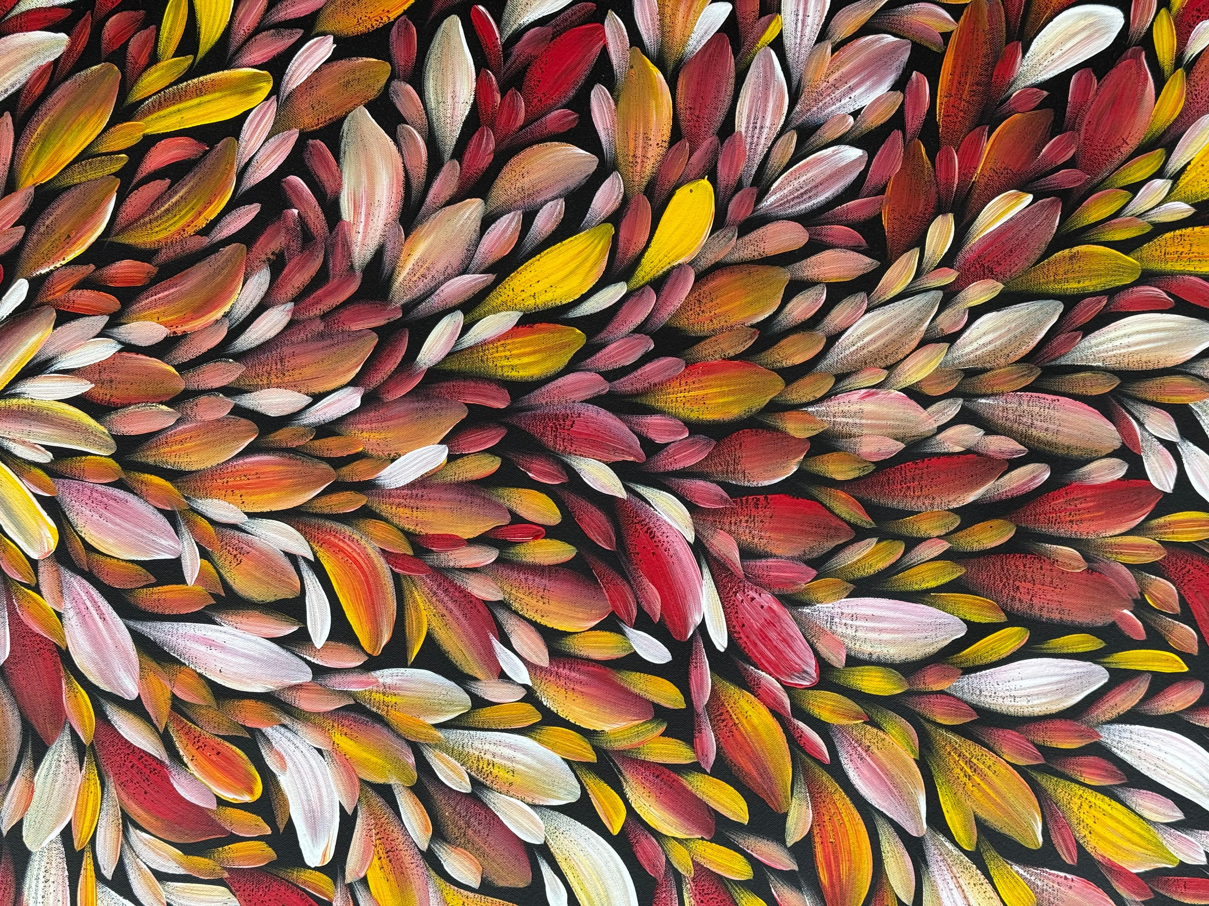 Louise Numina Napananka - Bush Medicine Leaves .57-63