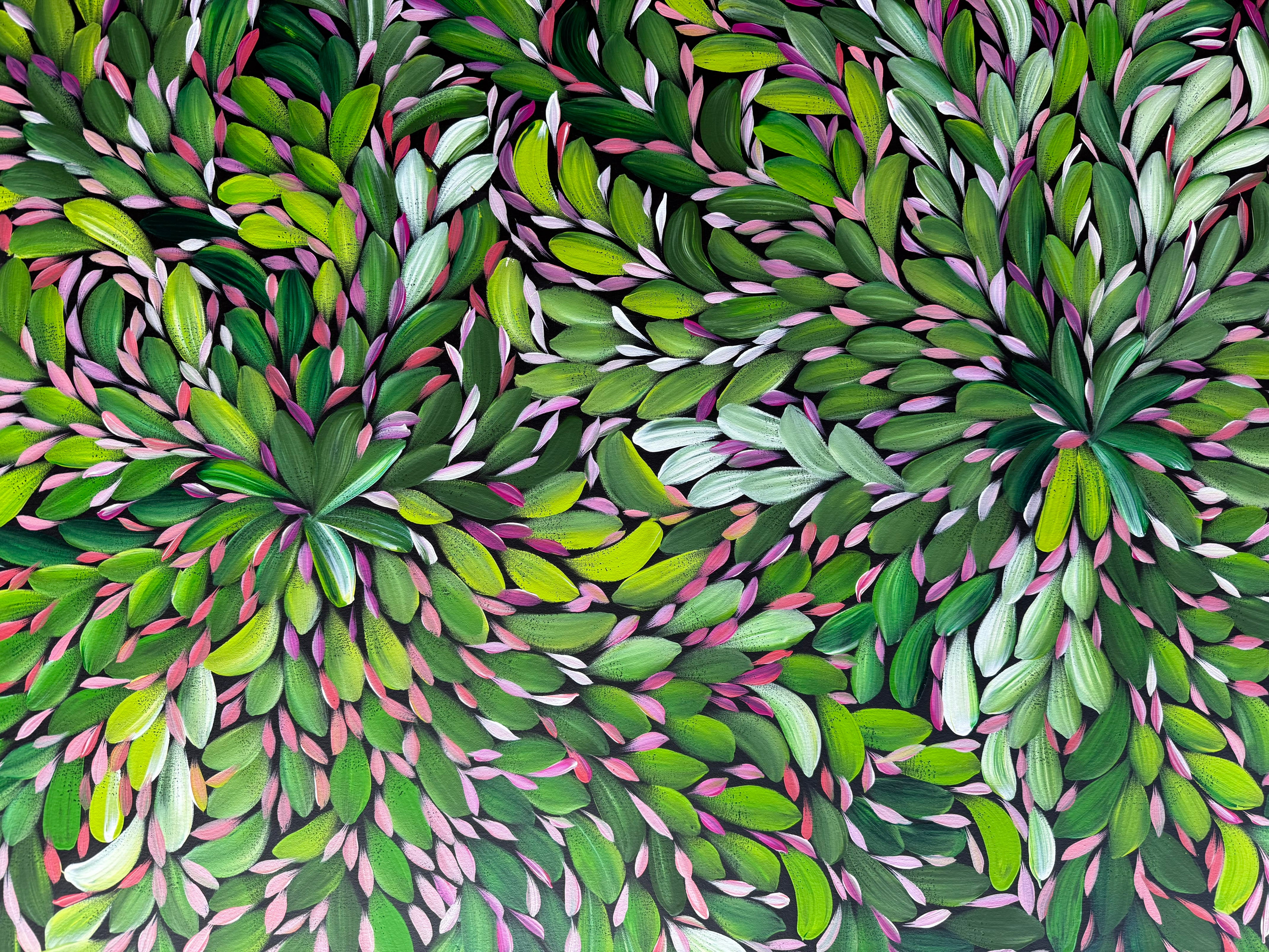 Louise Numina Napananka - Bush Medicine Leaves .23-7