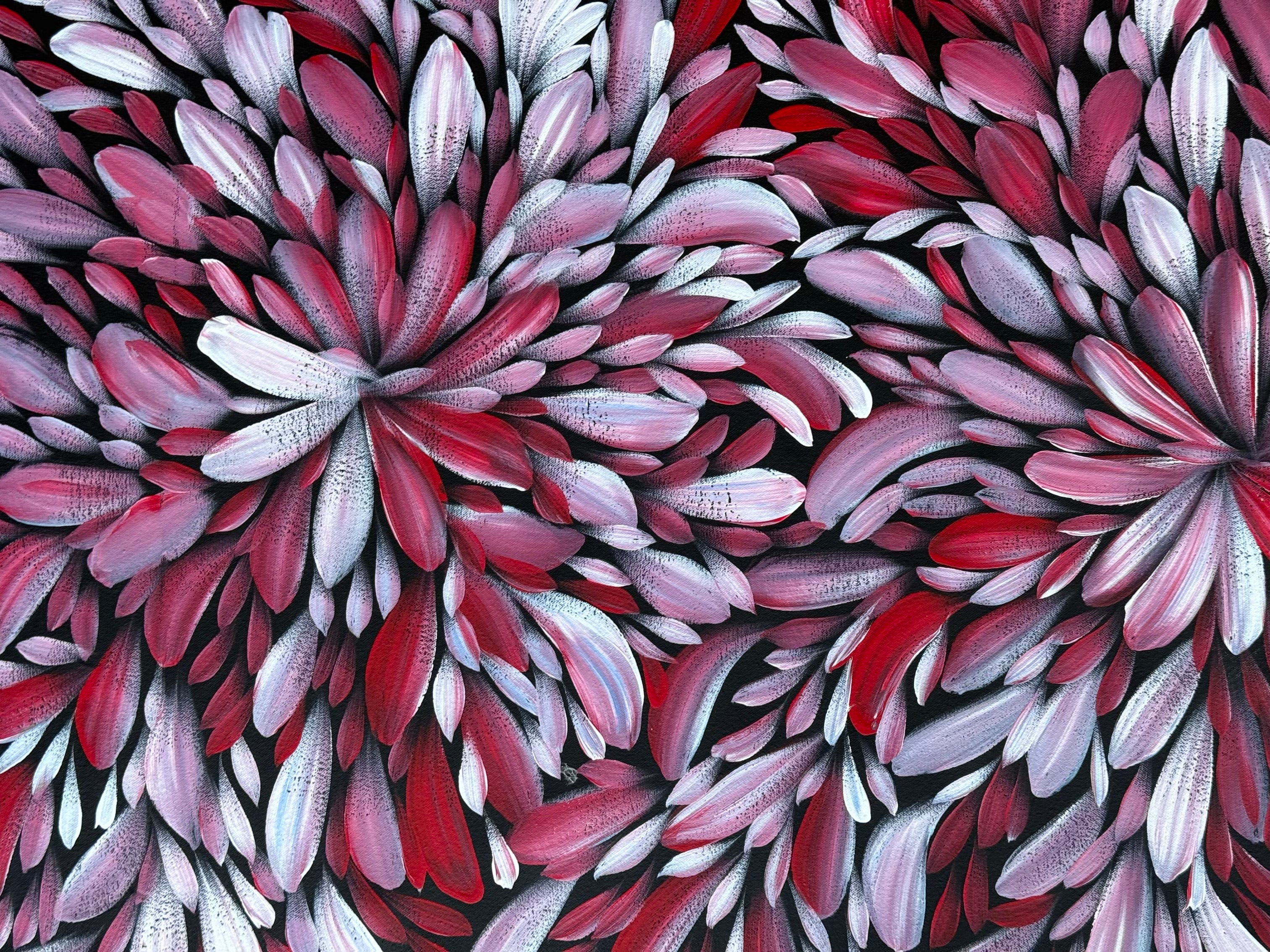 Louise Numina Napananka - Bush Medicine Leaves .49-29