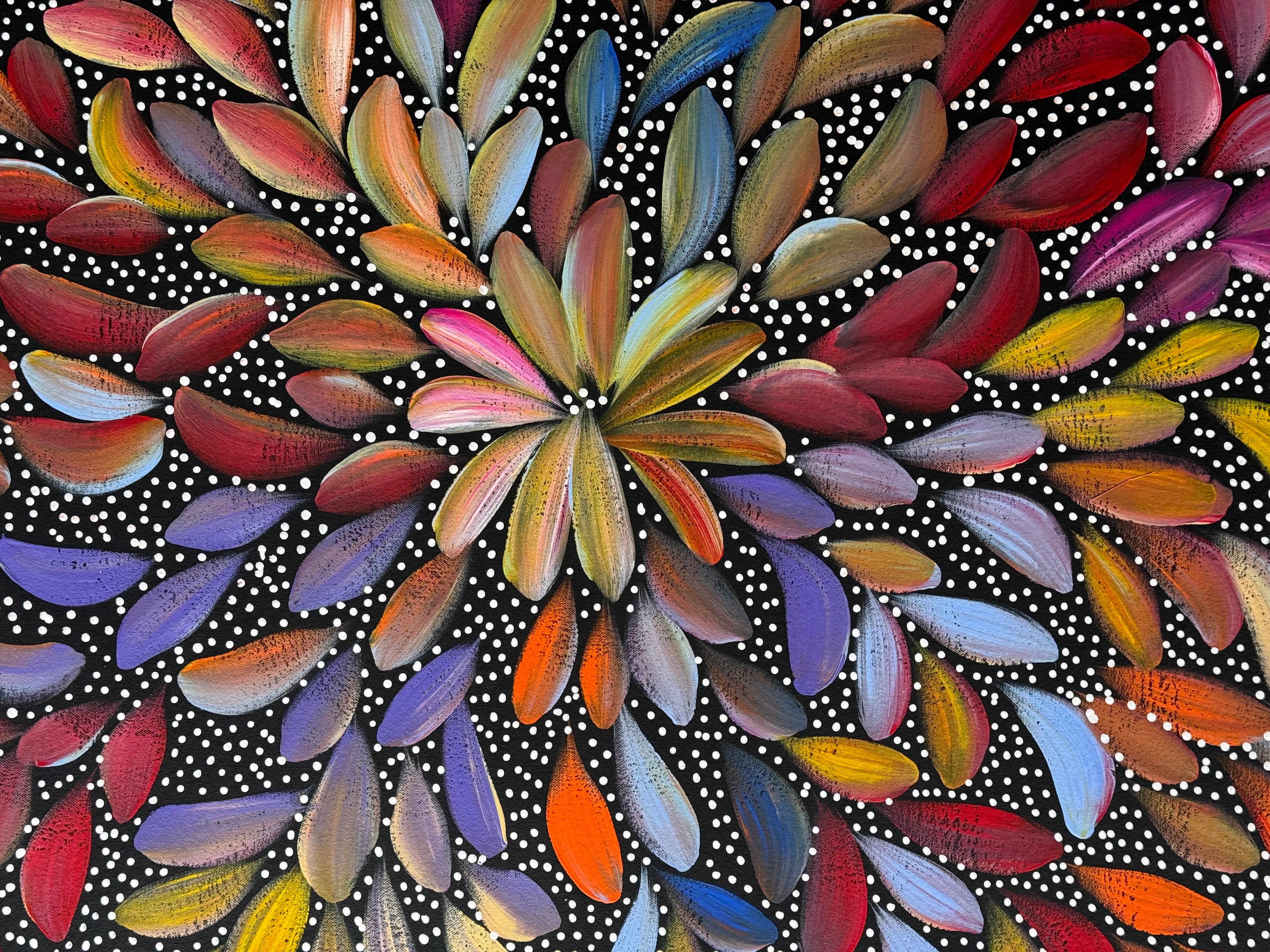 Louise Numina Napananka - Bush Medicine Leaves and Seeds .29-6