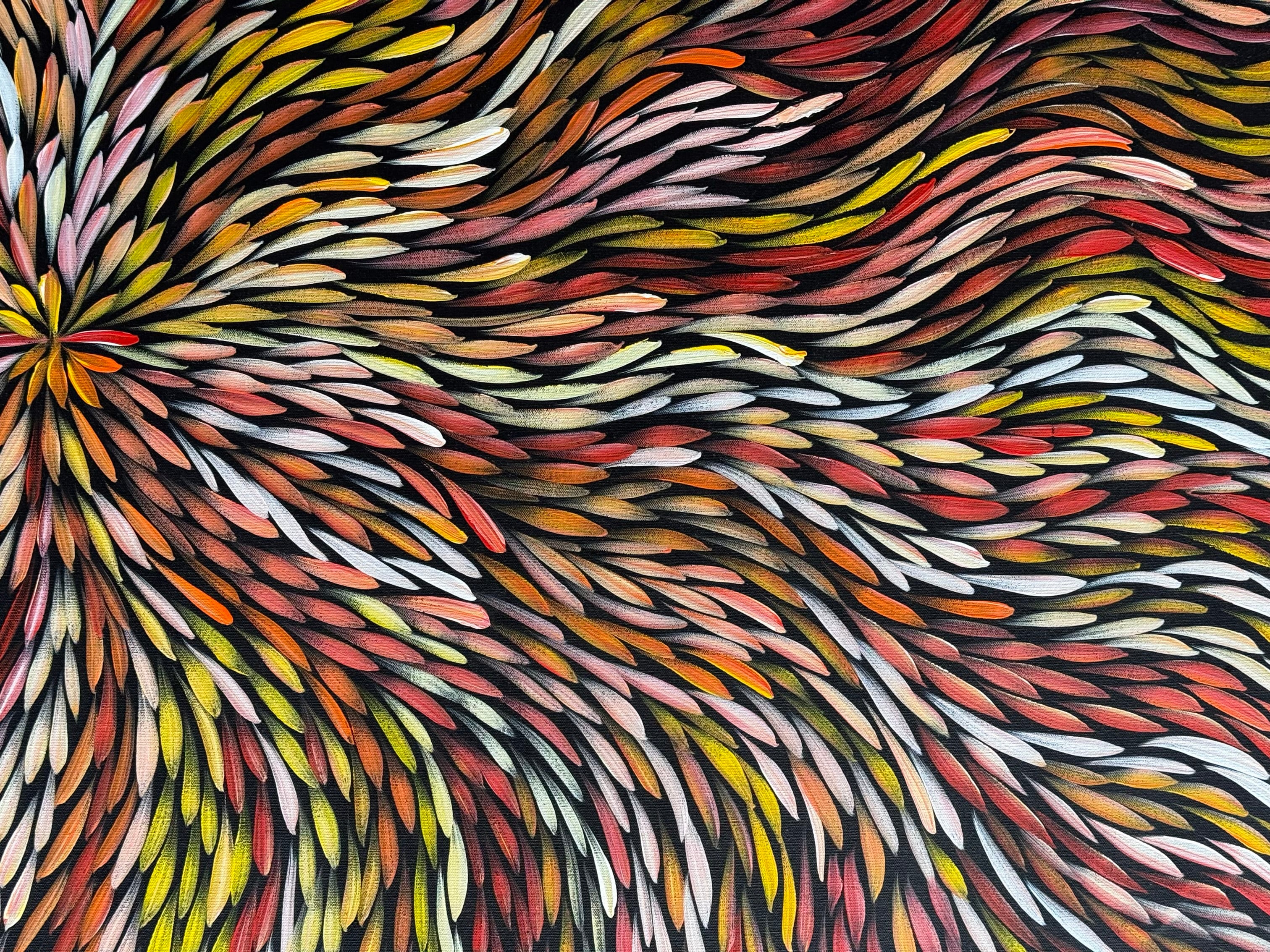 Sharon Numina - Bush Medicine Leaves .50-6