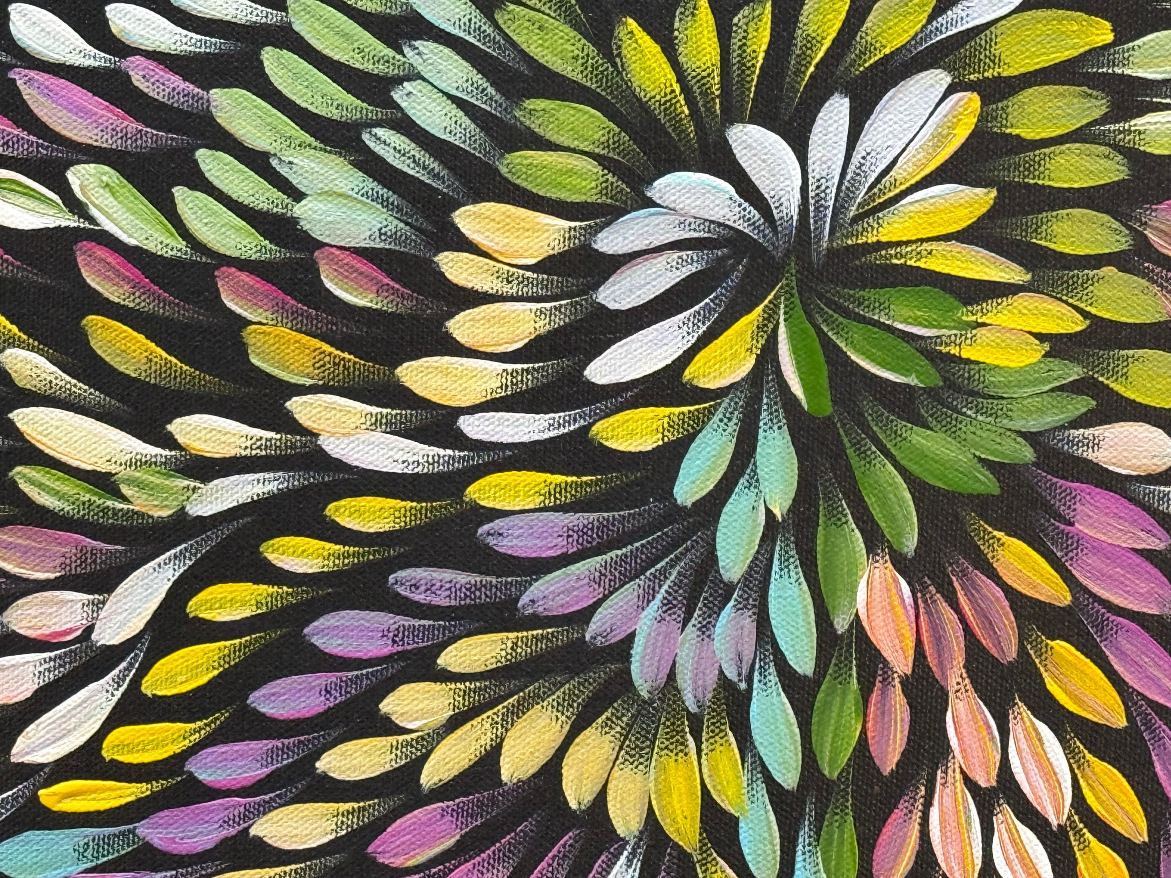 Caroline Numina - Bush Medicine Leaves .04-32