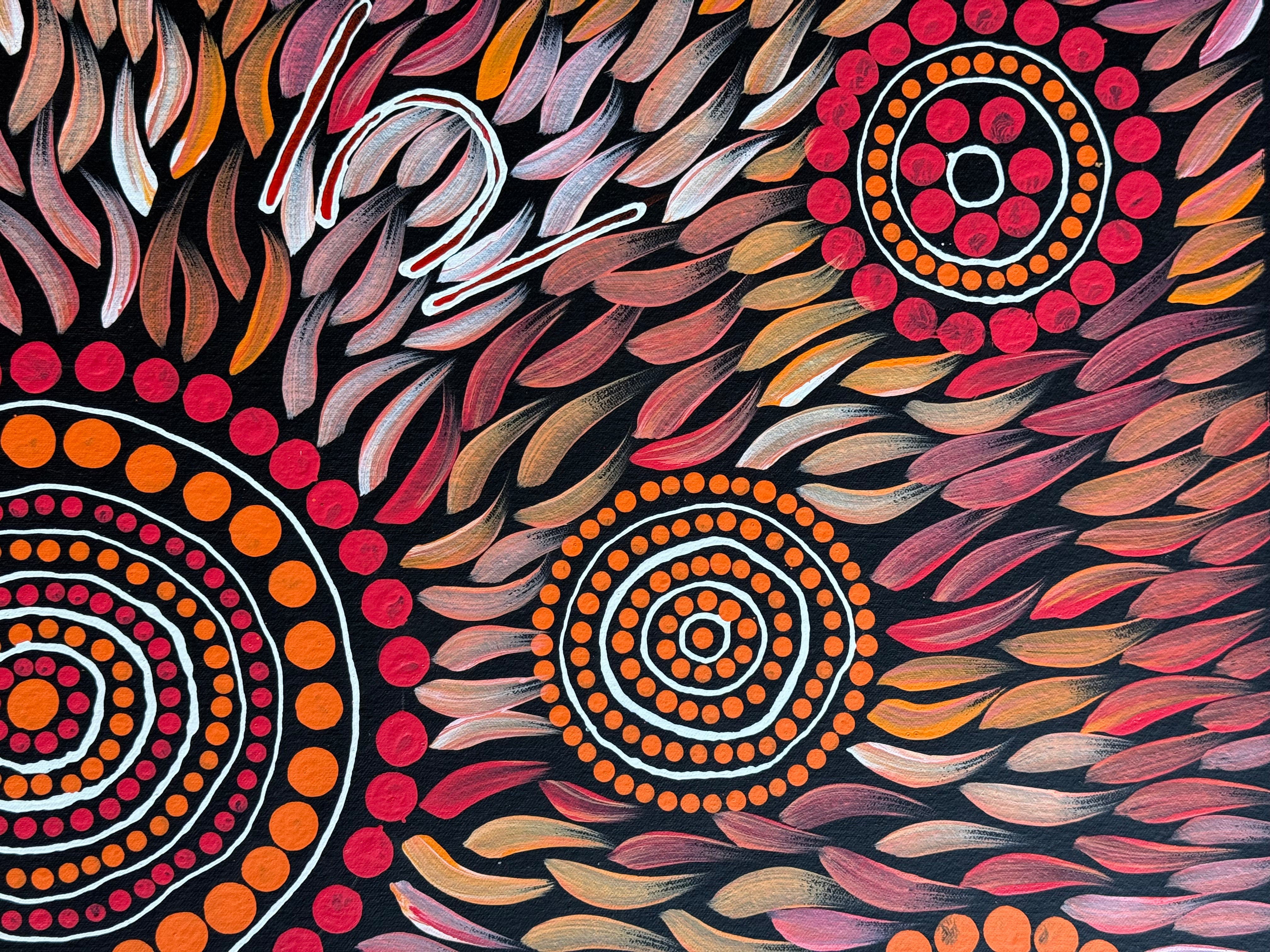 Sabina Gorey - Bush Medicine Leaves .04-8