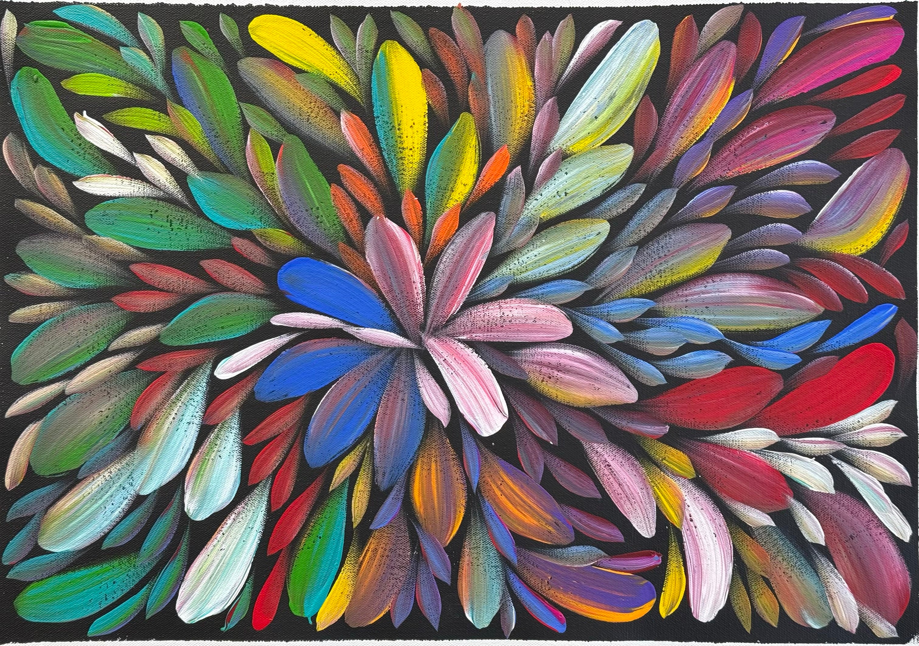 Louise Numina Napananka - Bush Medicine Leaves .57-20