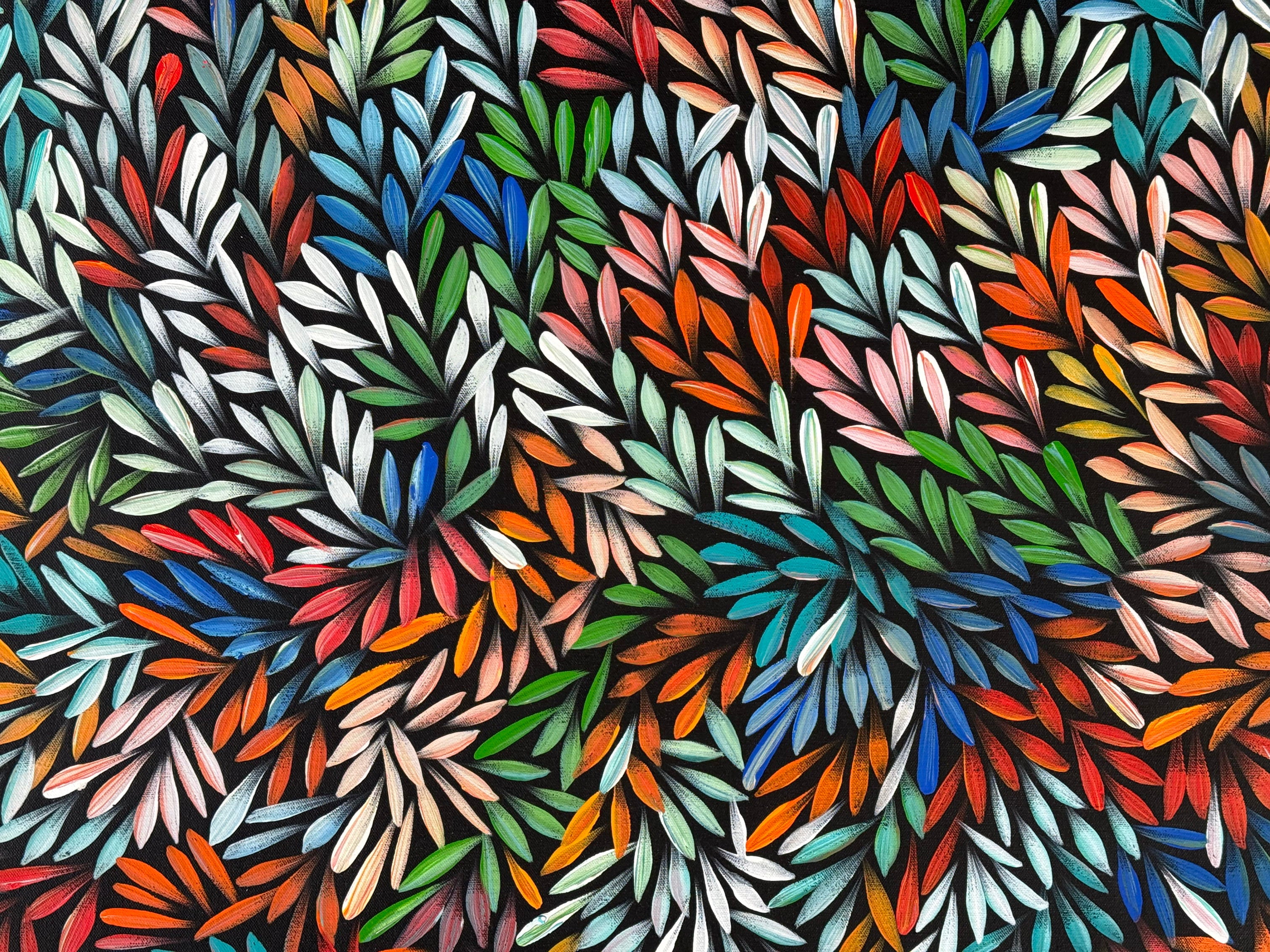 Sharon Numina - Bush Medicine Leaves .40-1