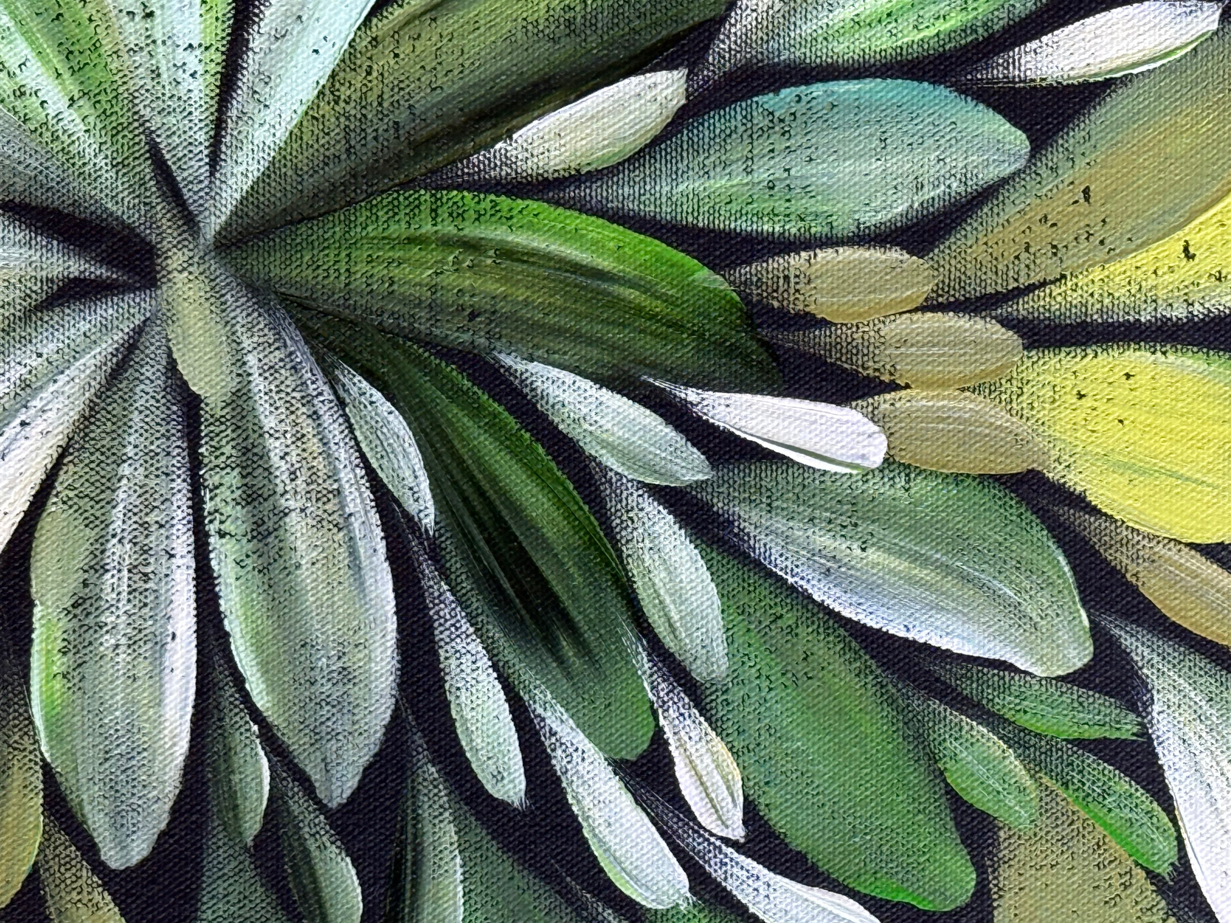 Louise Numina Napananka - Bush Medicine Leaves .22-21