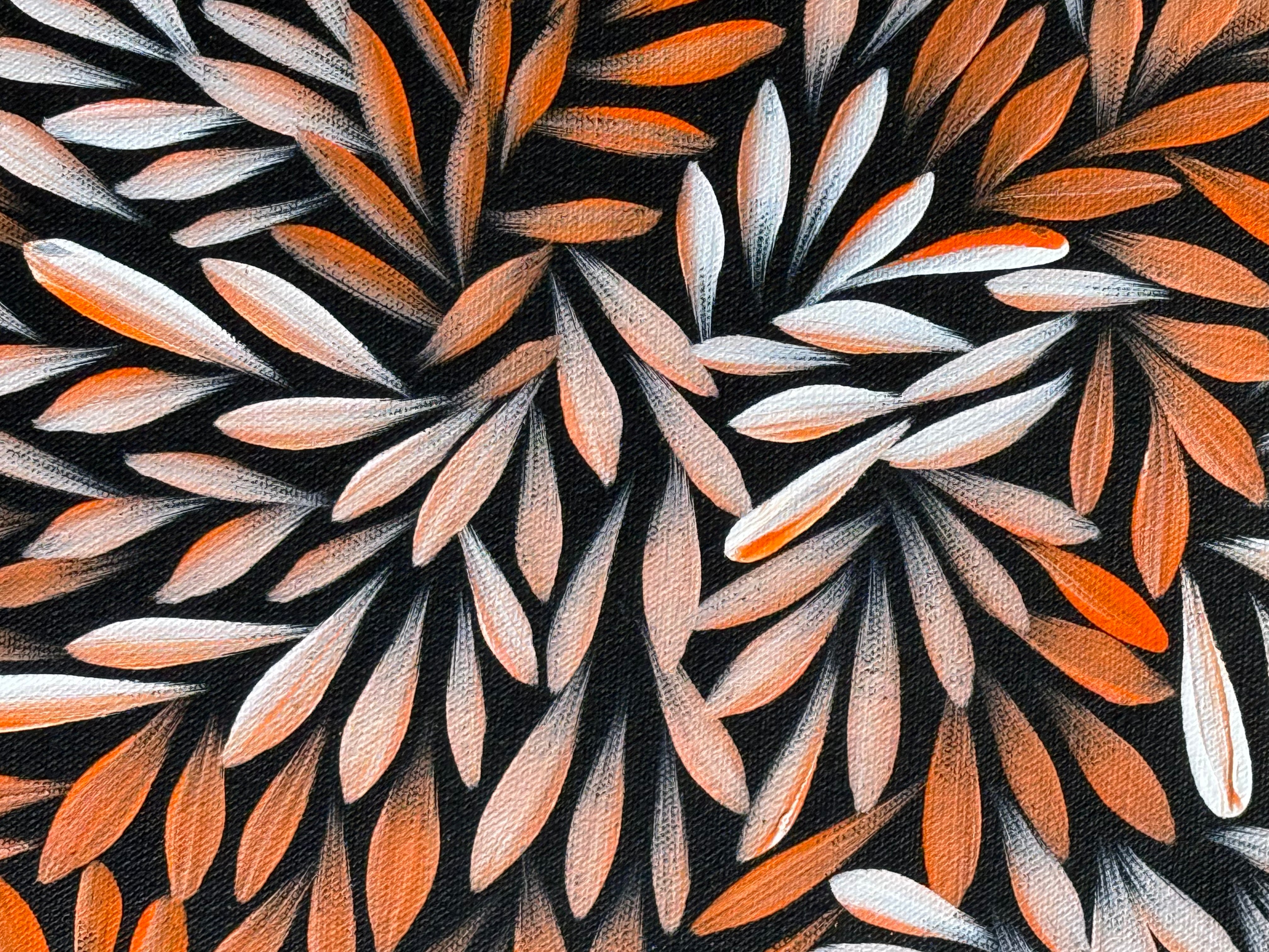 Sharon Numina - Bush Medicine Leaves .14-71