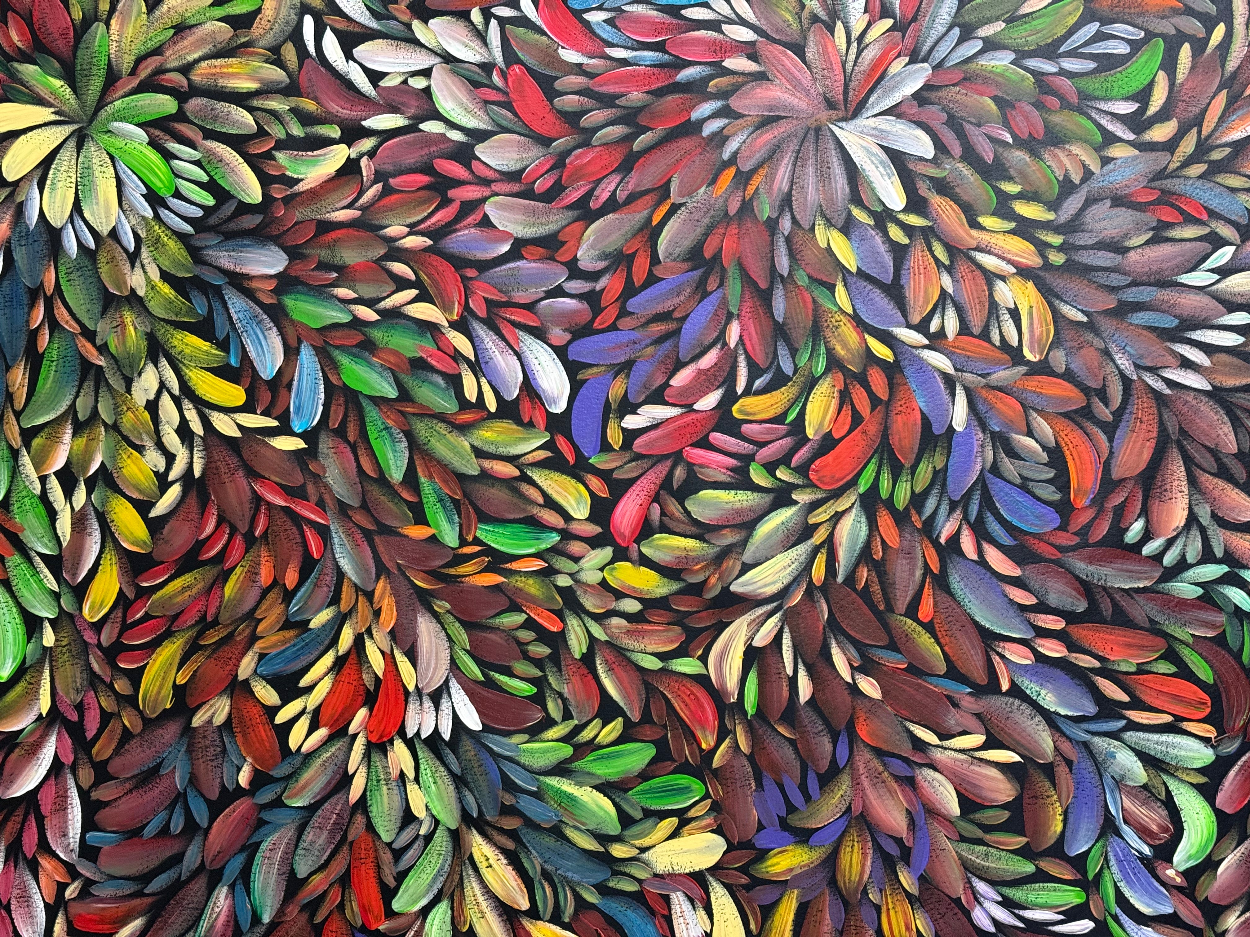 Louise Numina Napananka - Bush Medicine Leaves .29-1