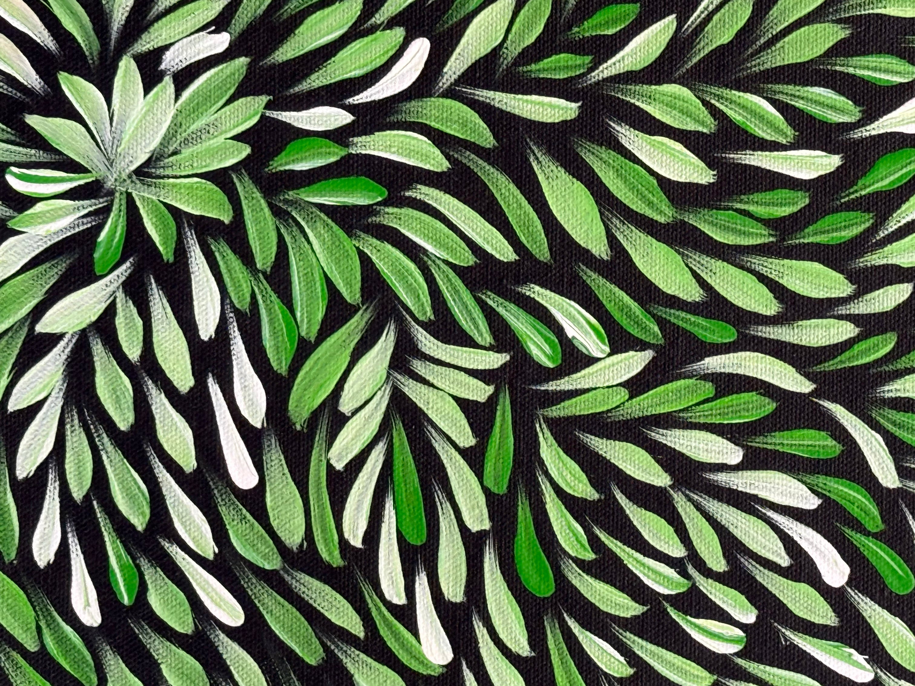 Sharon Turner - Bush Medicine Leaves - 54x39cm .95-10