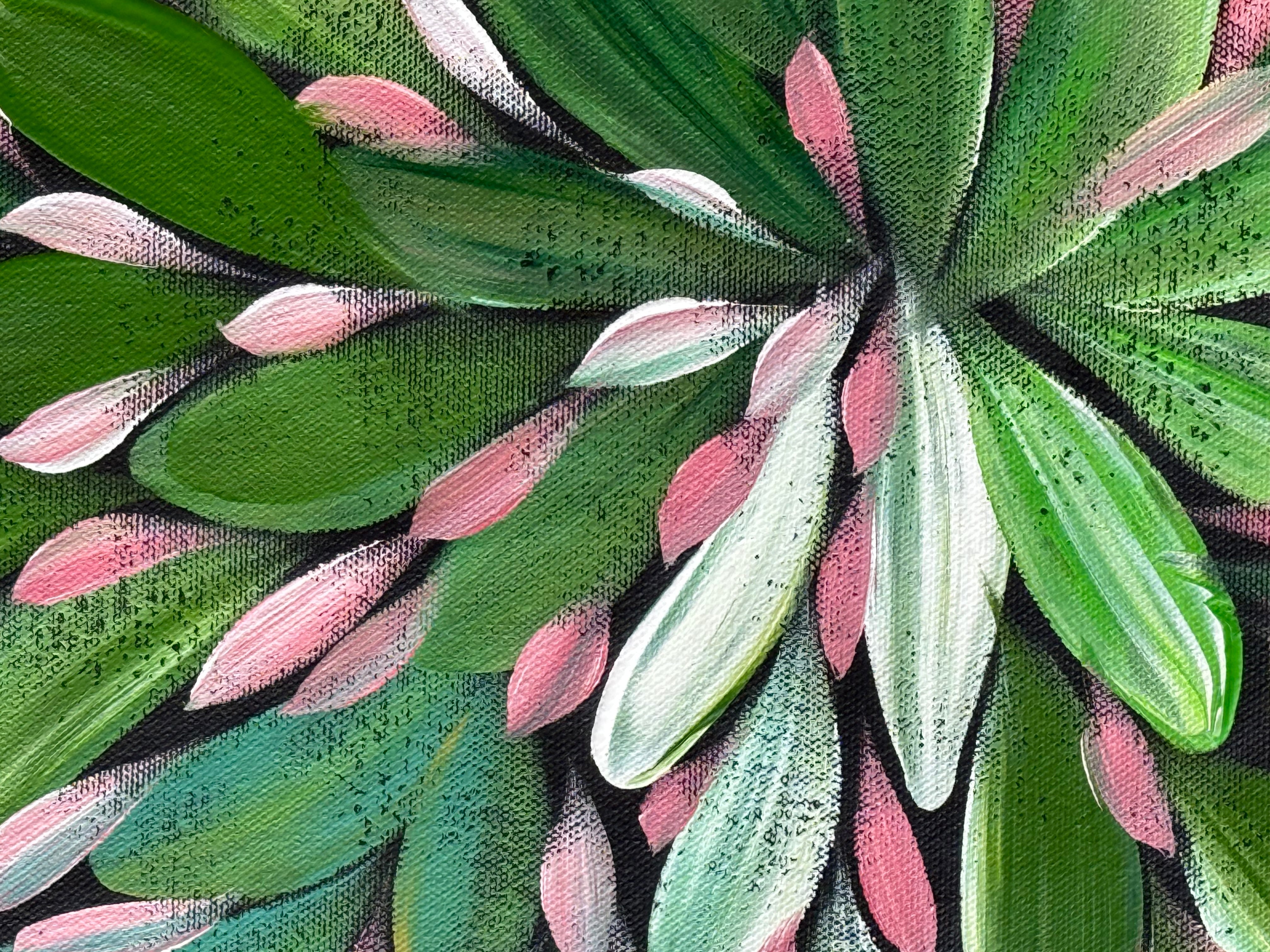 Louise Numina Napananka - Bush Medicine Leaves  .22-5