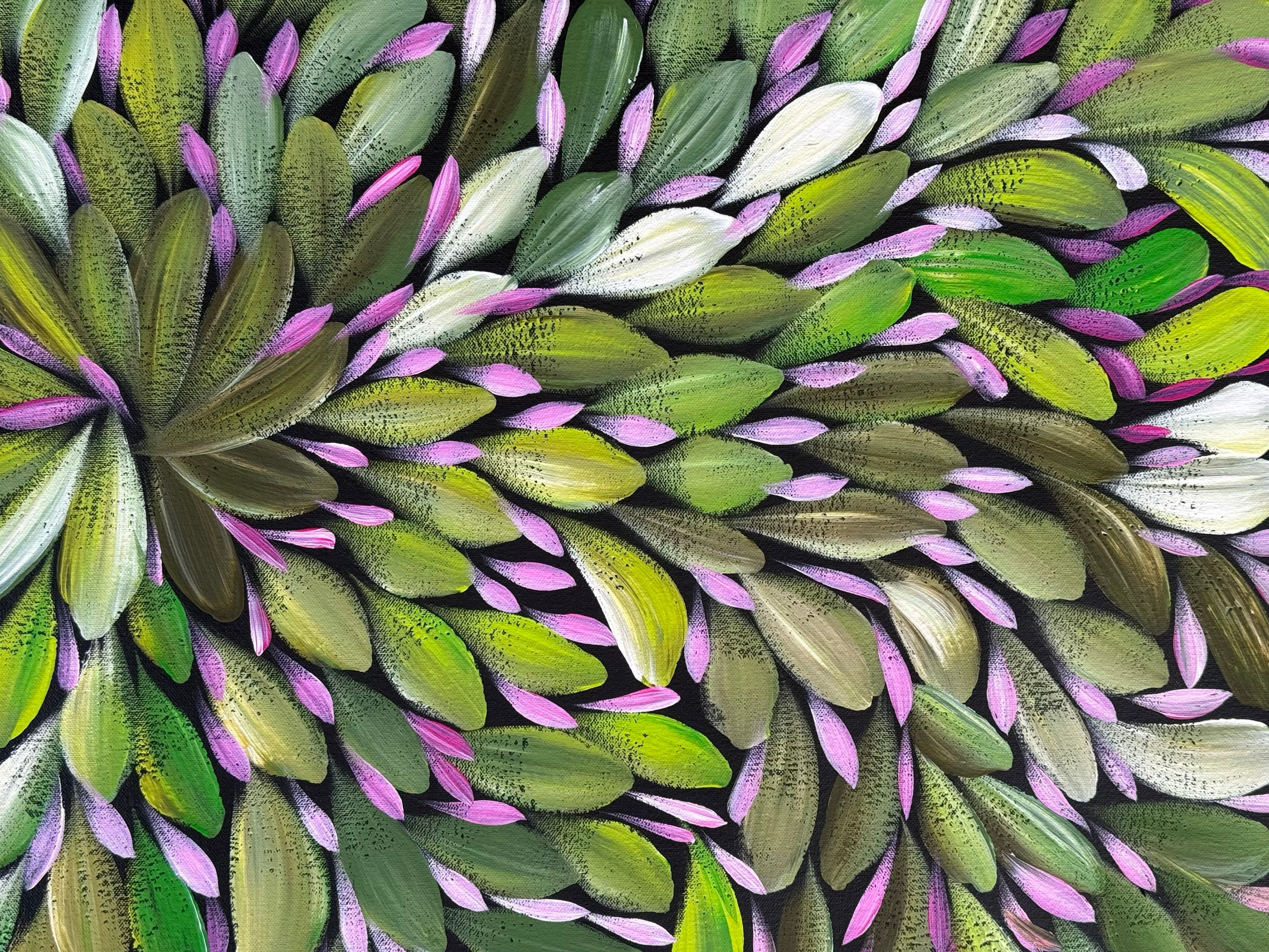 Louise Numina Napananka - Bush Medicine Leaves .65-6