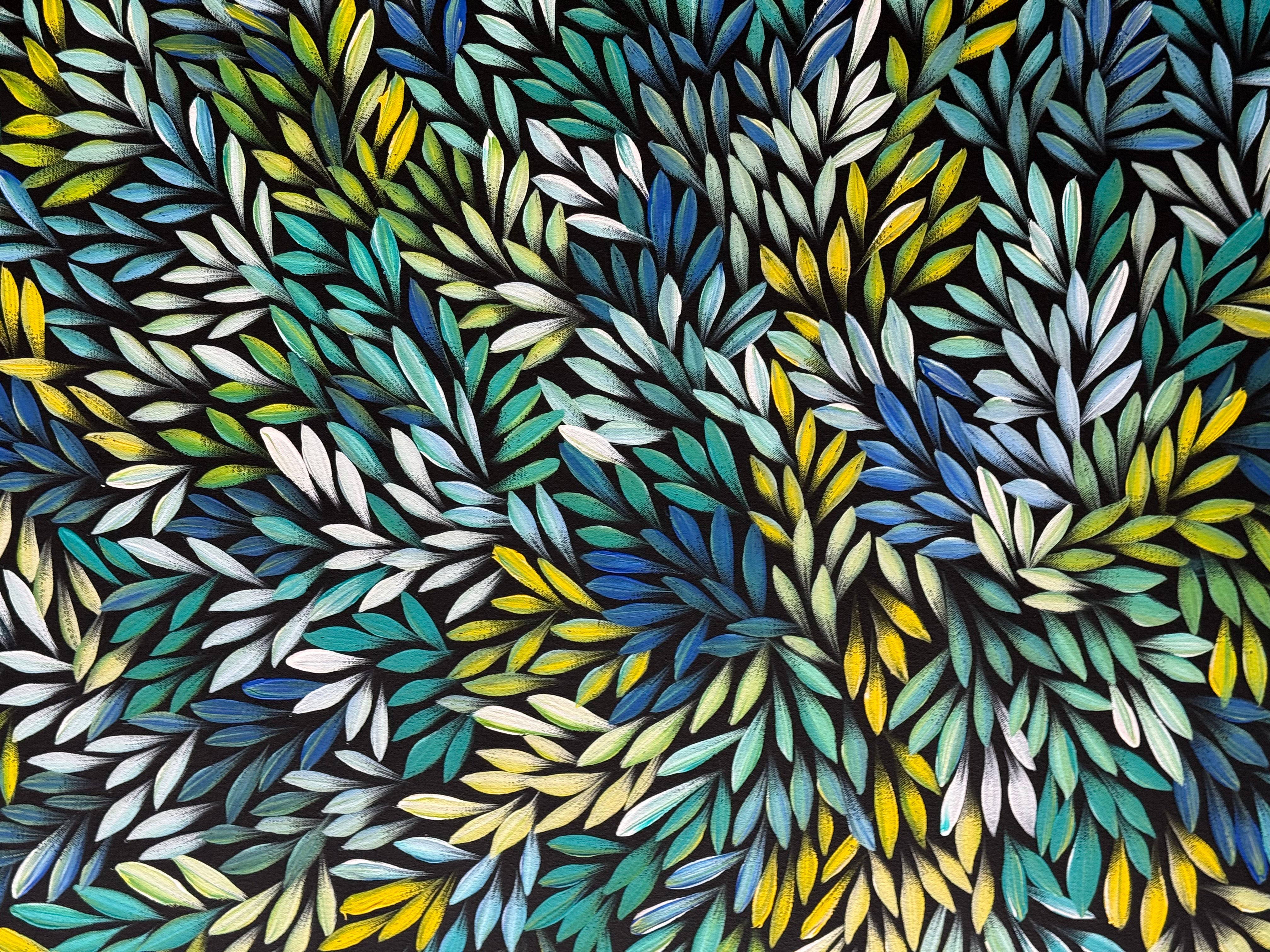 Sharon Numina - Bush Medicine Leaves .33-3