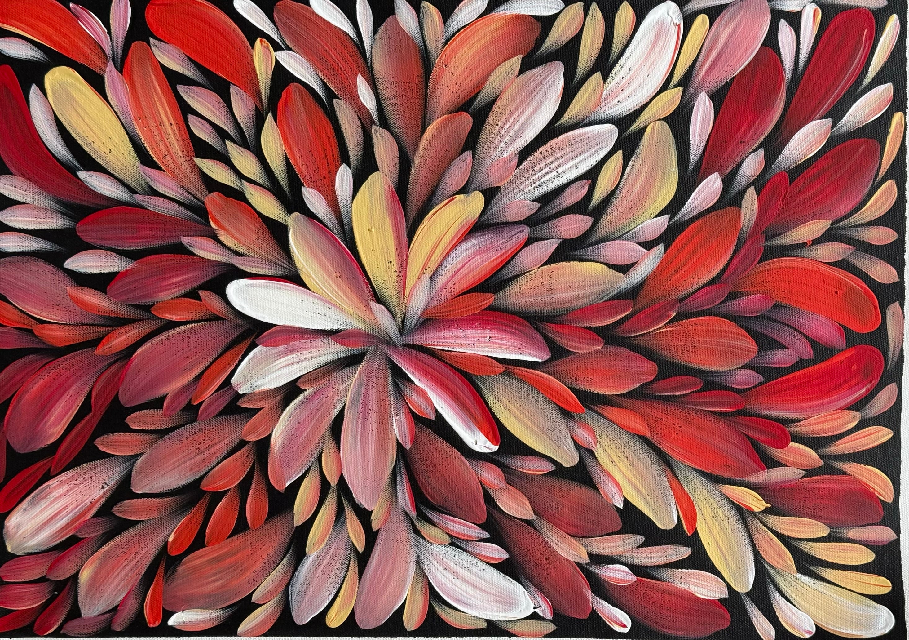 Louise Numina Napananka - Bush Medicine Leaves .57-29