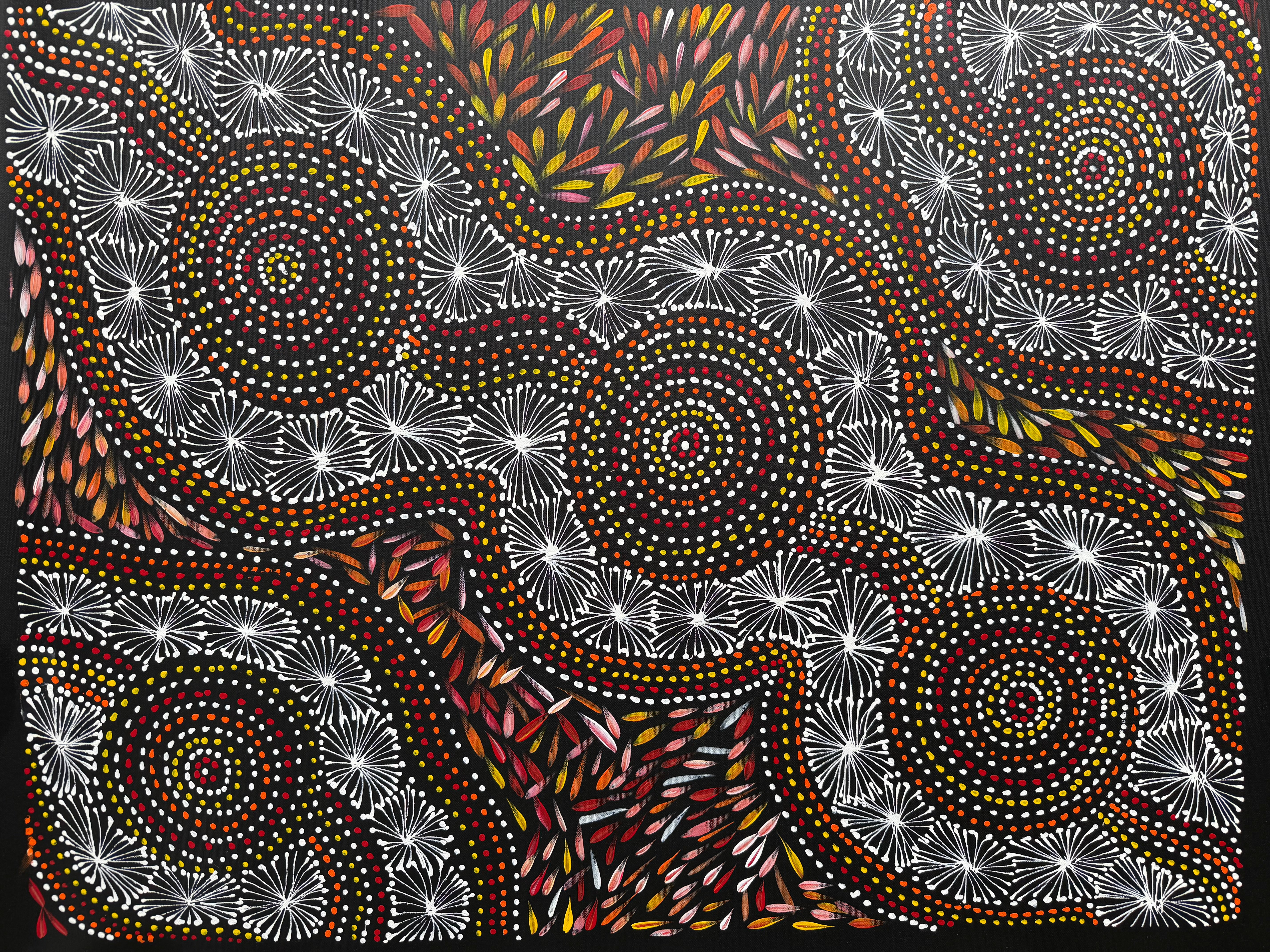 Selina Numina Kamprina - Seeds and Waterholes .92-5