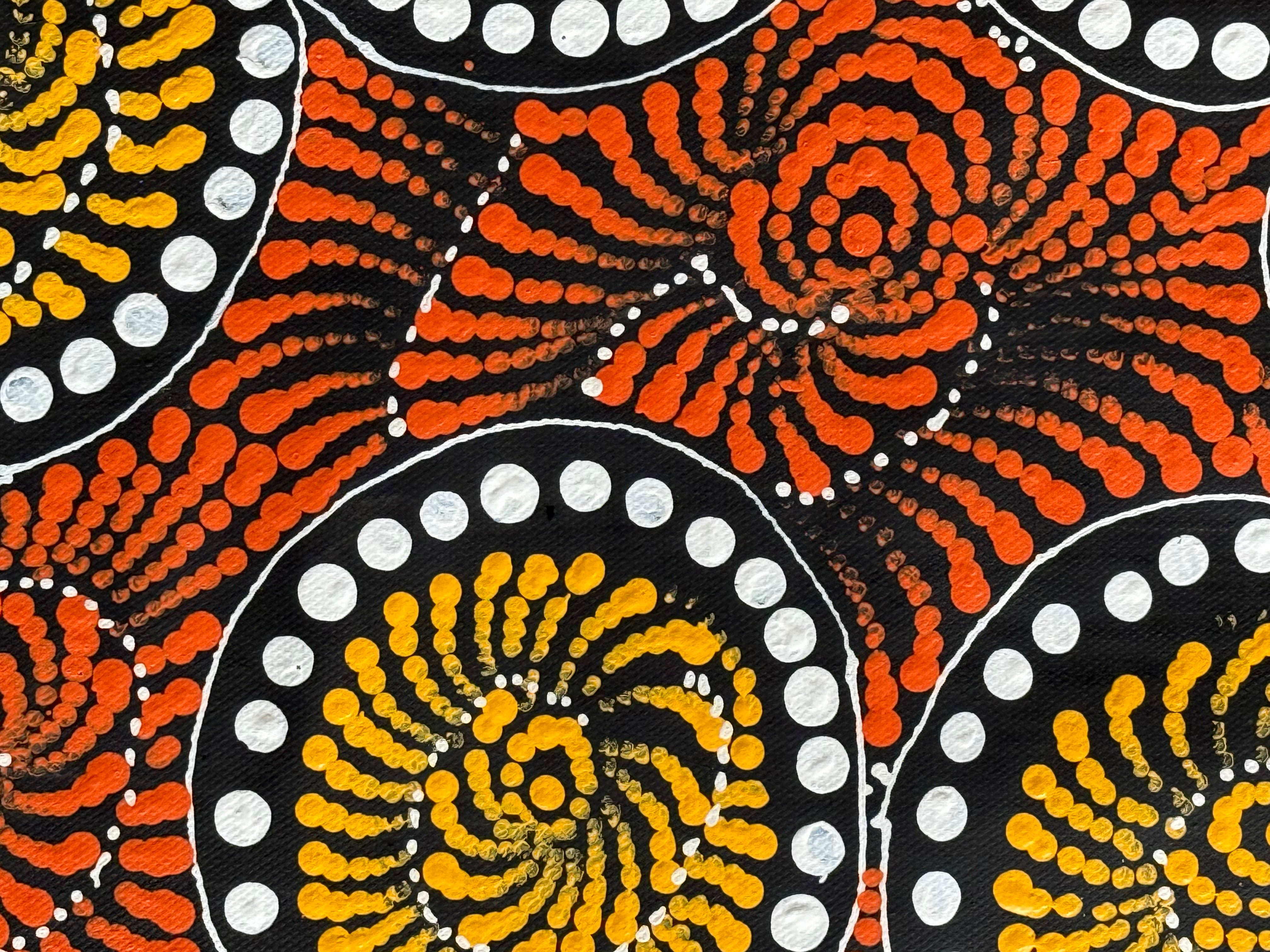 Maria Nampijinpa Brown - Flying Ants Dreaming (Pamapardu Jukurrpa) .78-6