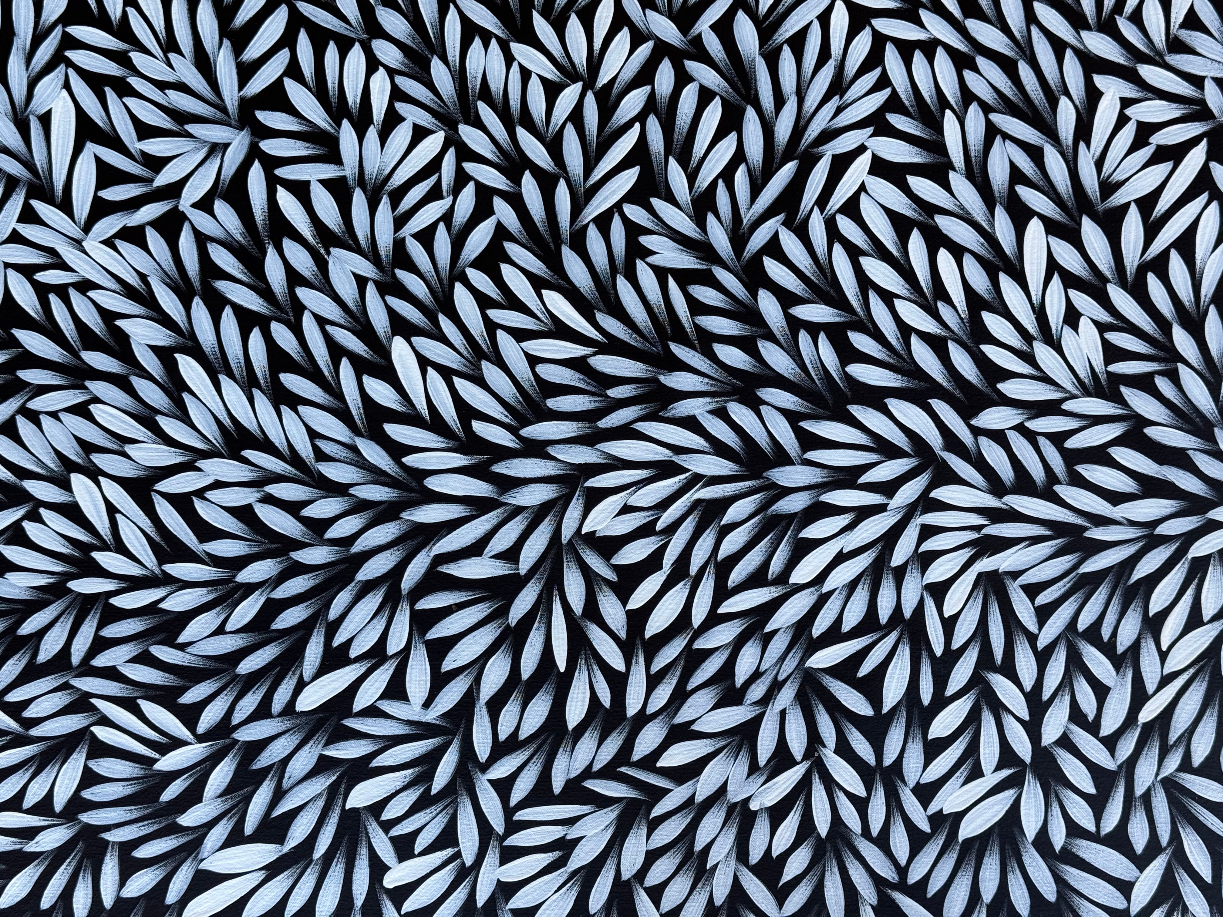 Sharon Numina - Bush Medicine Leaves .50-8