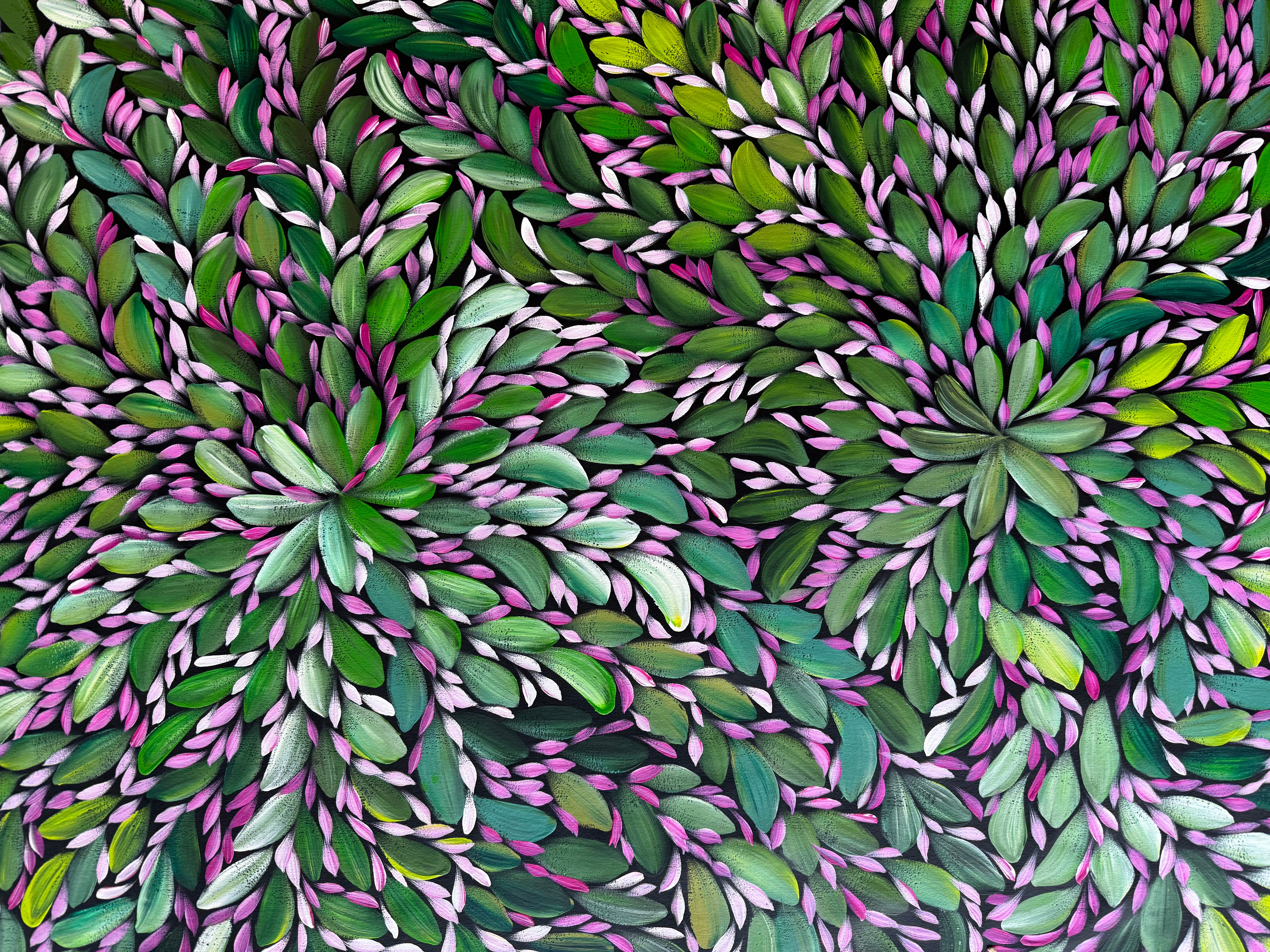 Louise Numina Napananka - Bush Medicine Leaves .43-14