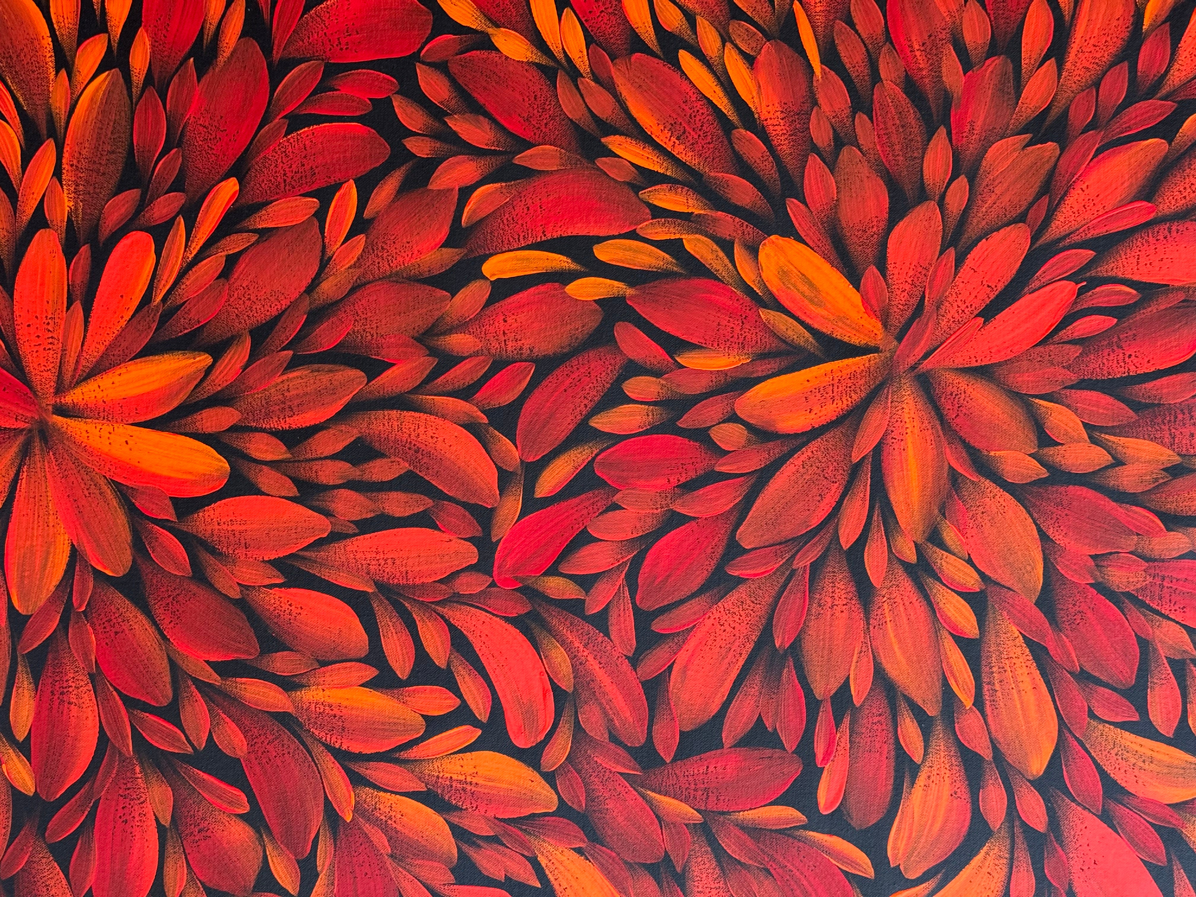 Louise Numina Napananka - Bush Medicine Leaves .57-44