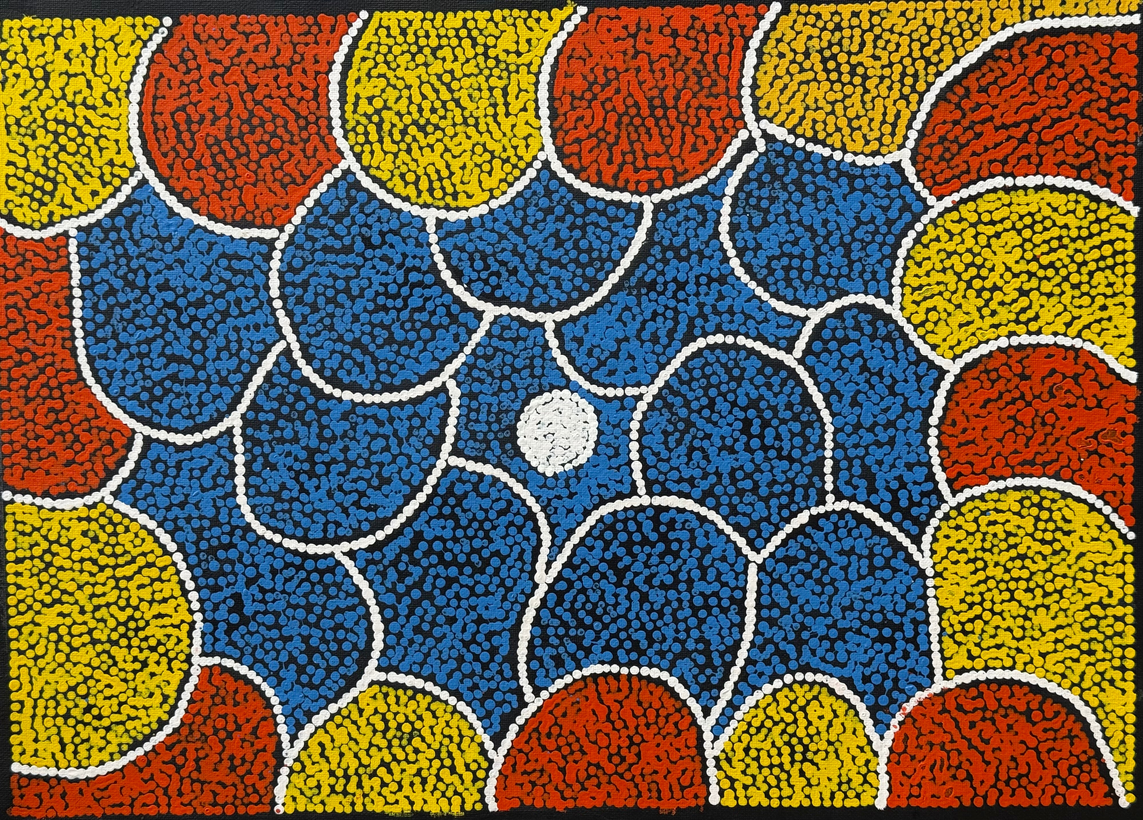 Aboriginal paintings in many sizes featuring women's ceremony
