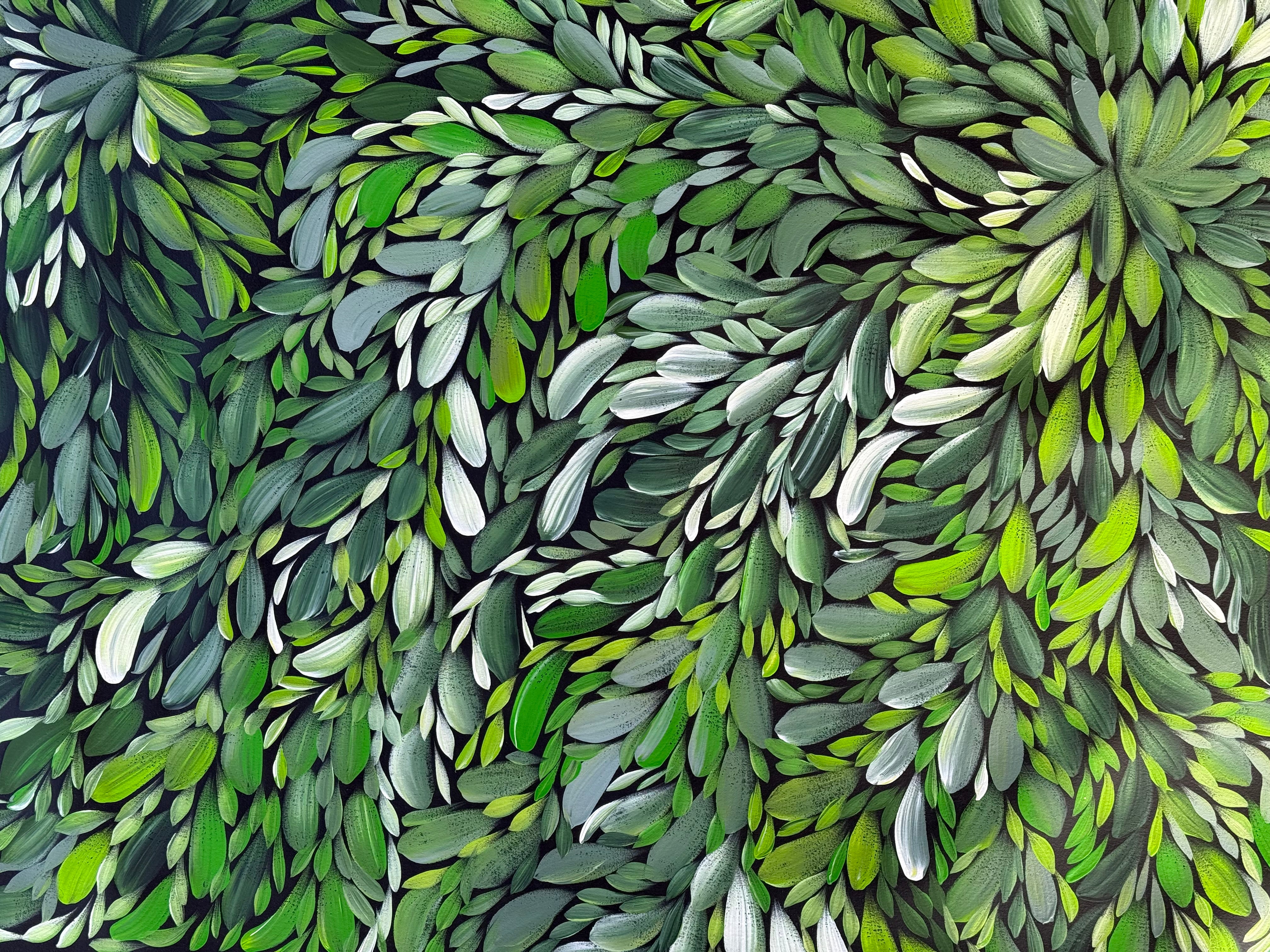 Louise Numina Napananka - Bush Medicine Leaves .18-13