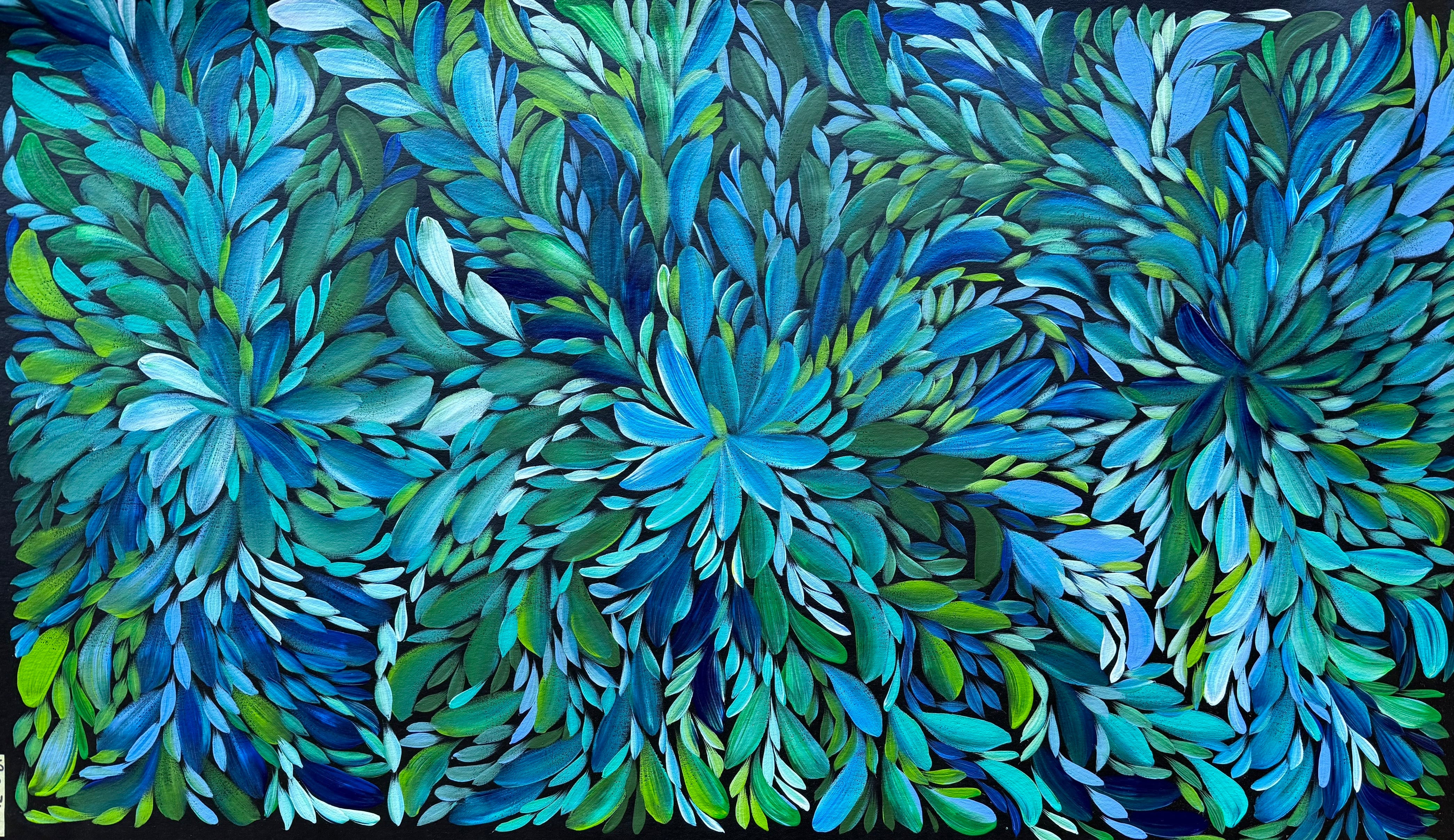 Louise Numina Napananka - Bush Medicine Leaves .24-23