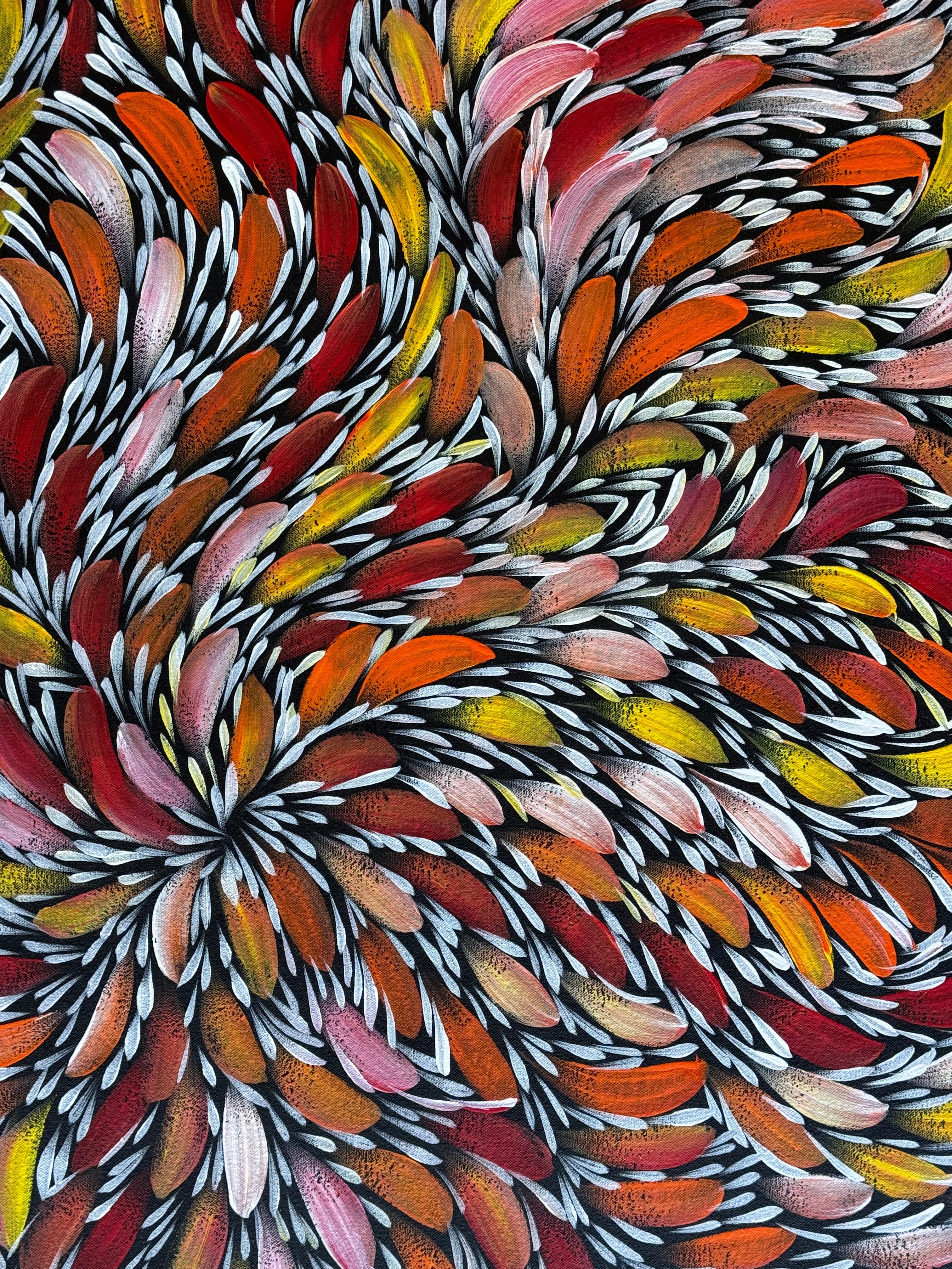 Selina Numina Kamprina - Bush Medicine Leaves .44-6