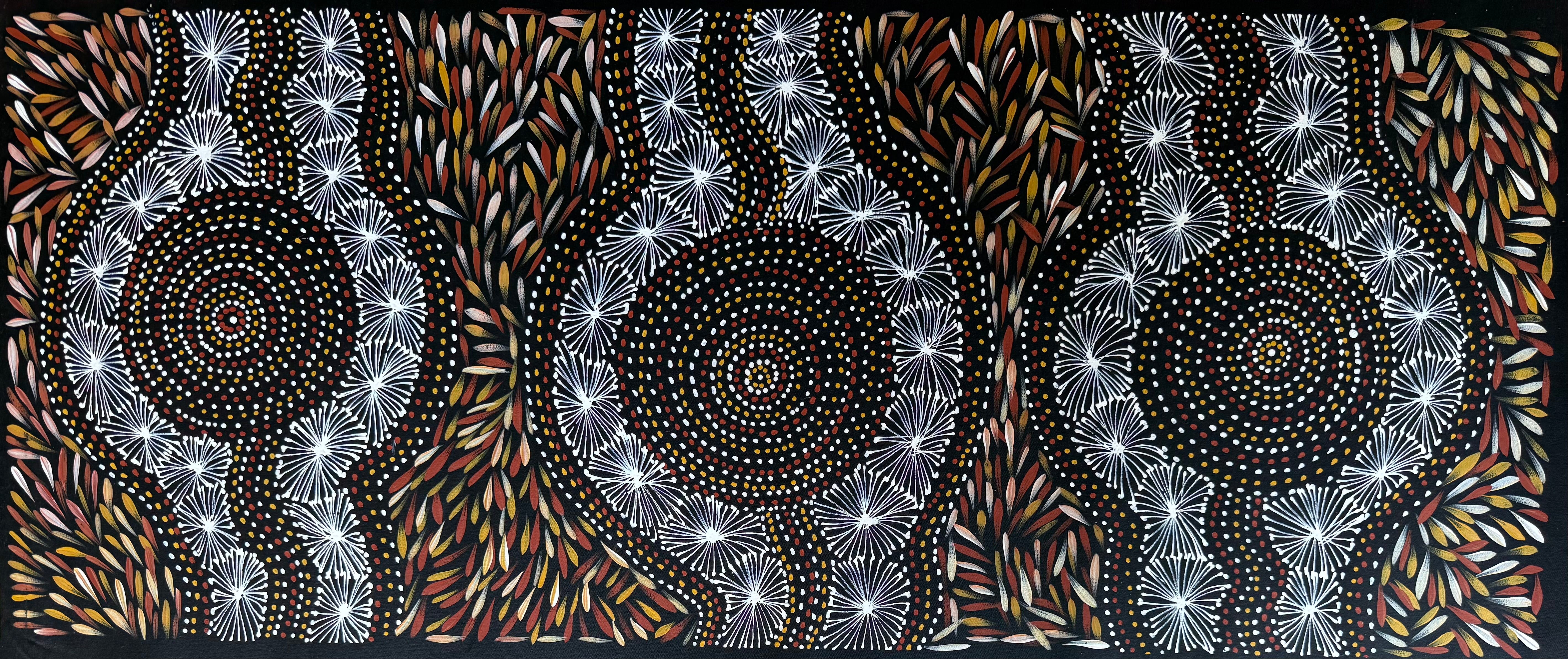 Selina Numina Kamprina - Seeds and Waterholes .92-11