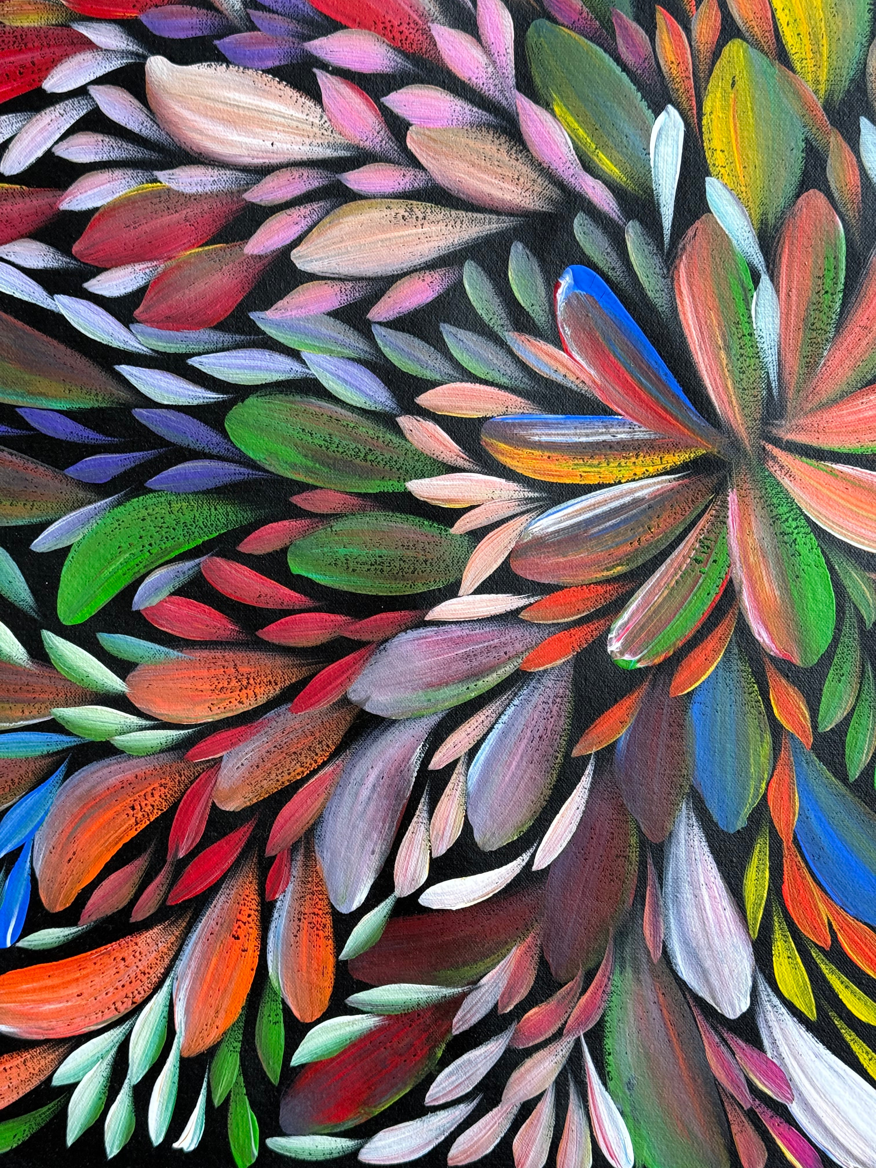 Louise Numina Napananka - Bush Medicine Leaves .16-64
