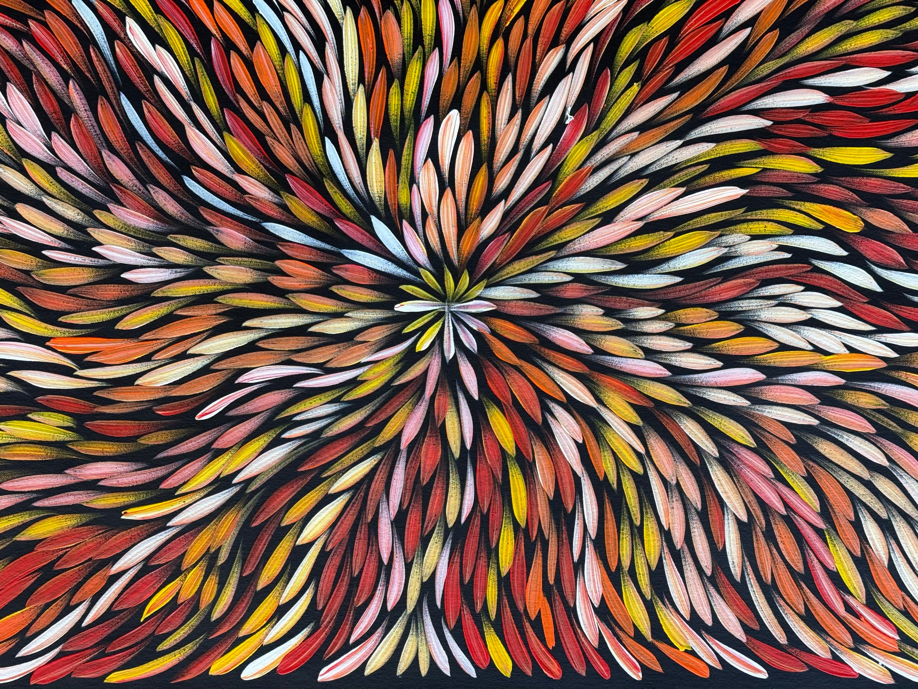 Sharon Numina - Bush Medicine Leaves .50-16