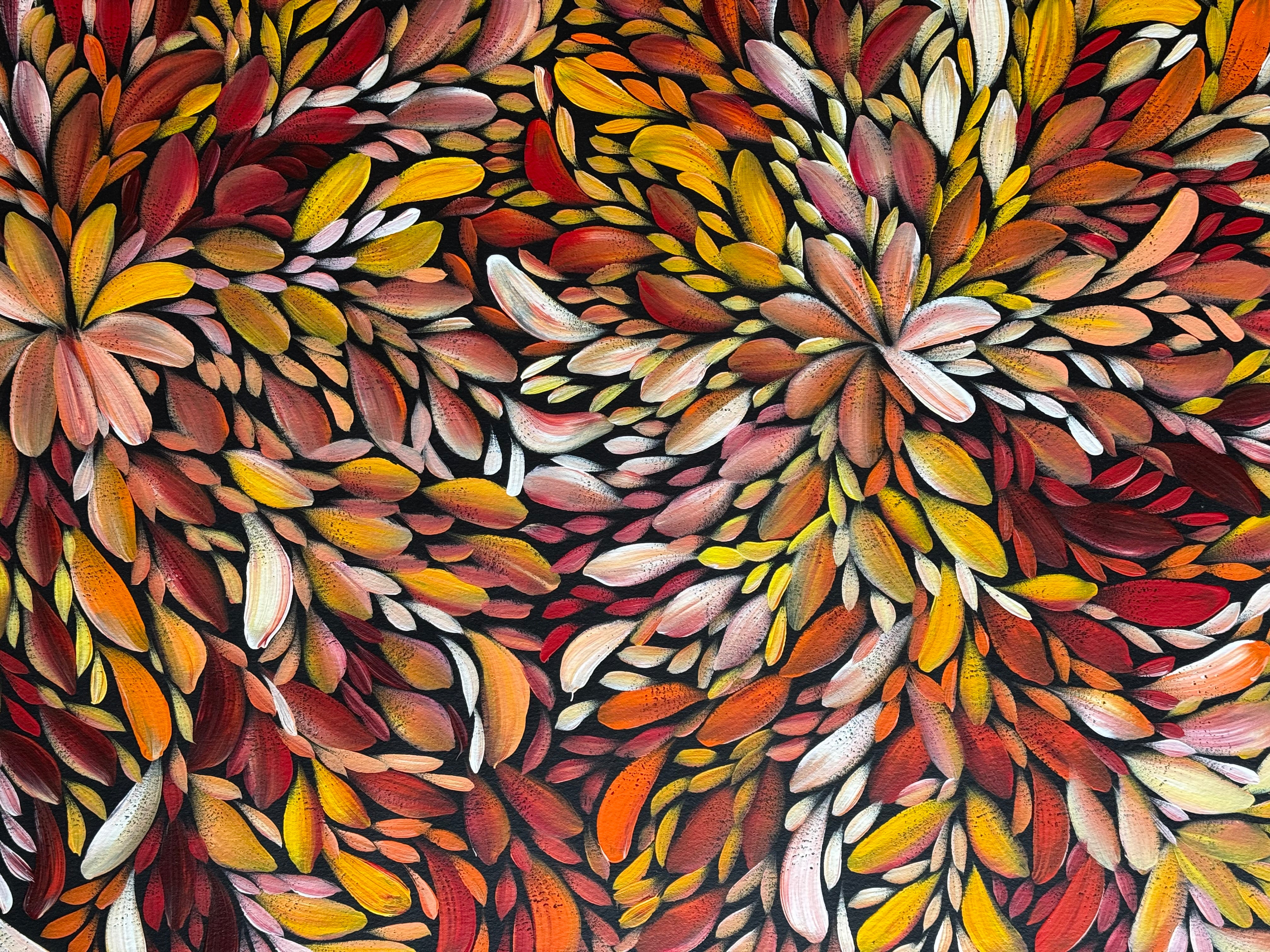 Louise Numina Napananka - Bush Medicine Leaves .24-3