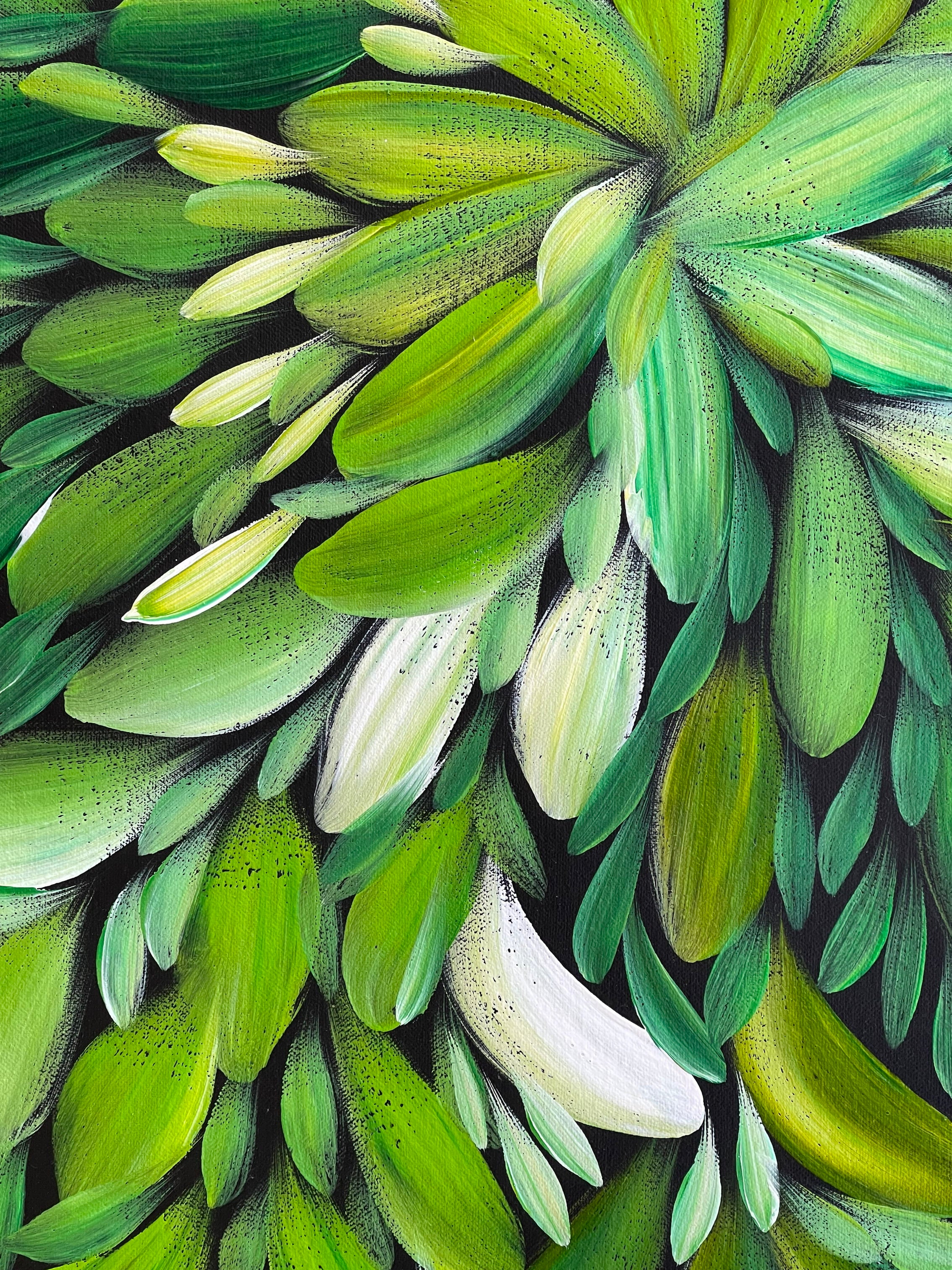 Louise Numina Napananka - Bush Medicine Leaves - 59x60cm .71-4