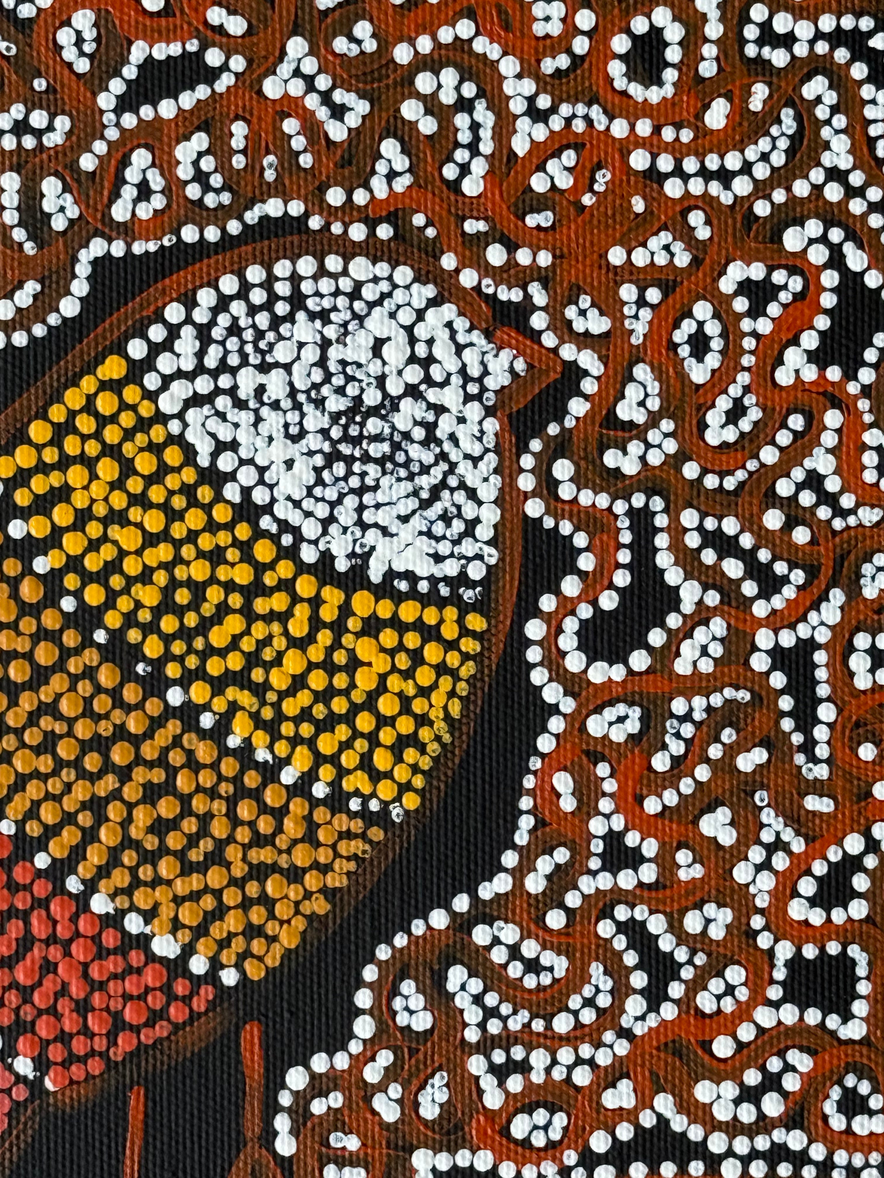 Geraldine Napangardi Granites - Ngalyipi Jukurrpa (Snake Vine Dreaming) - Stretched
