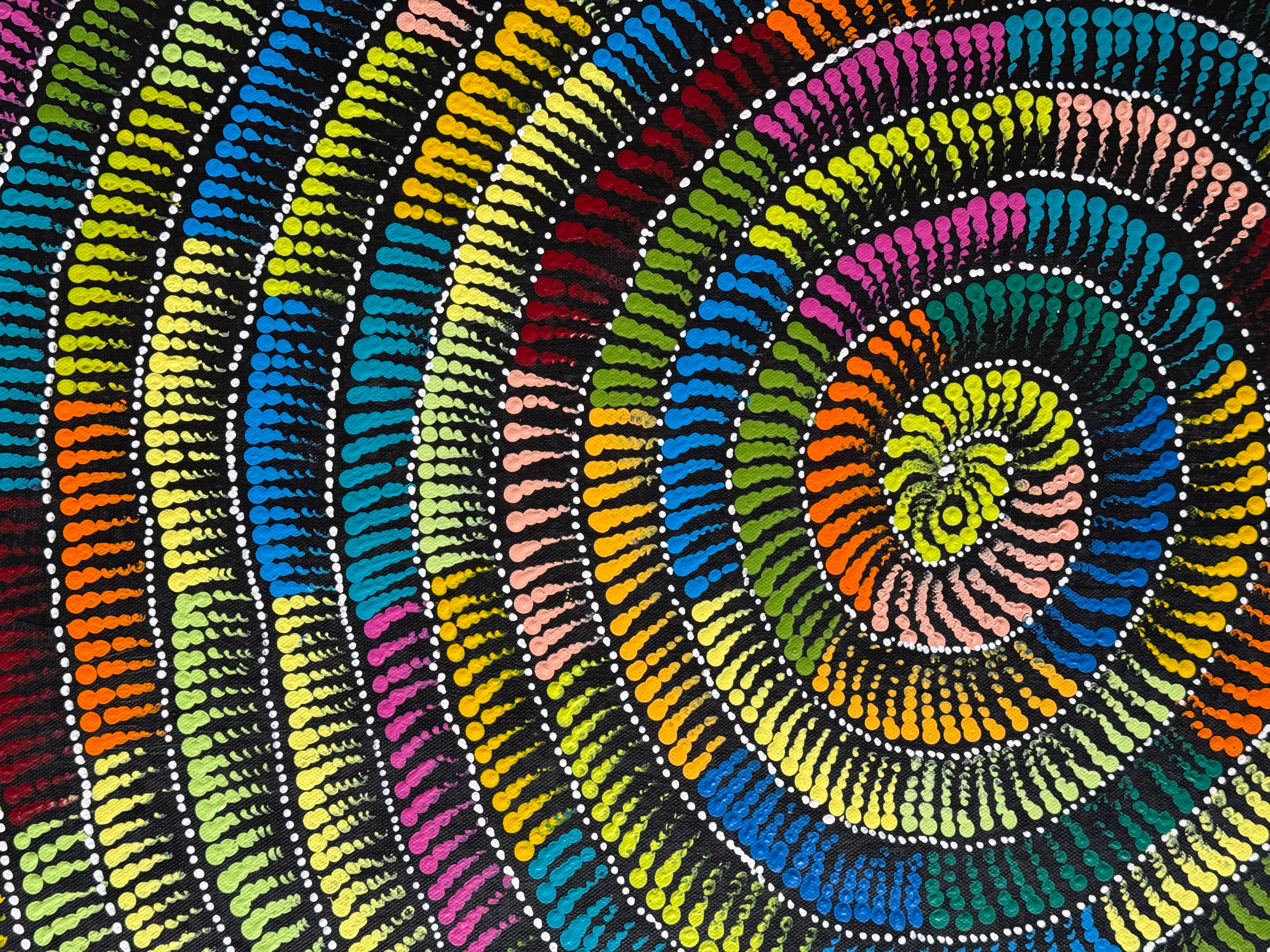 Maria Nampijinpa Brown - Flying Ants Dreaming .12-2