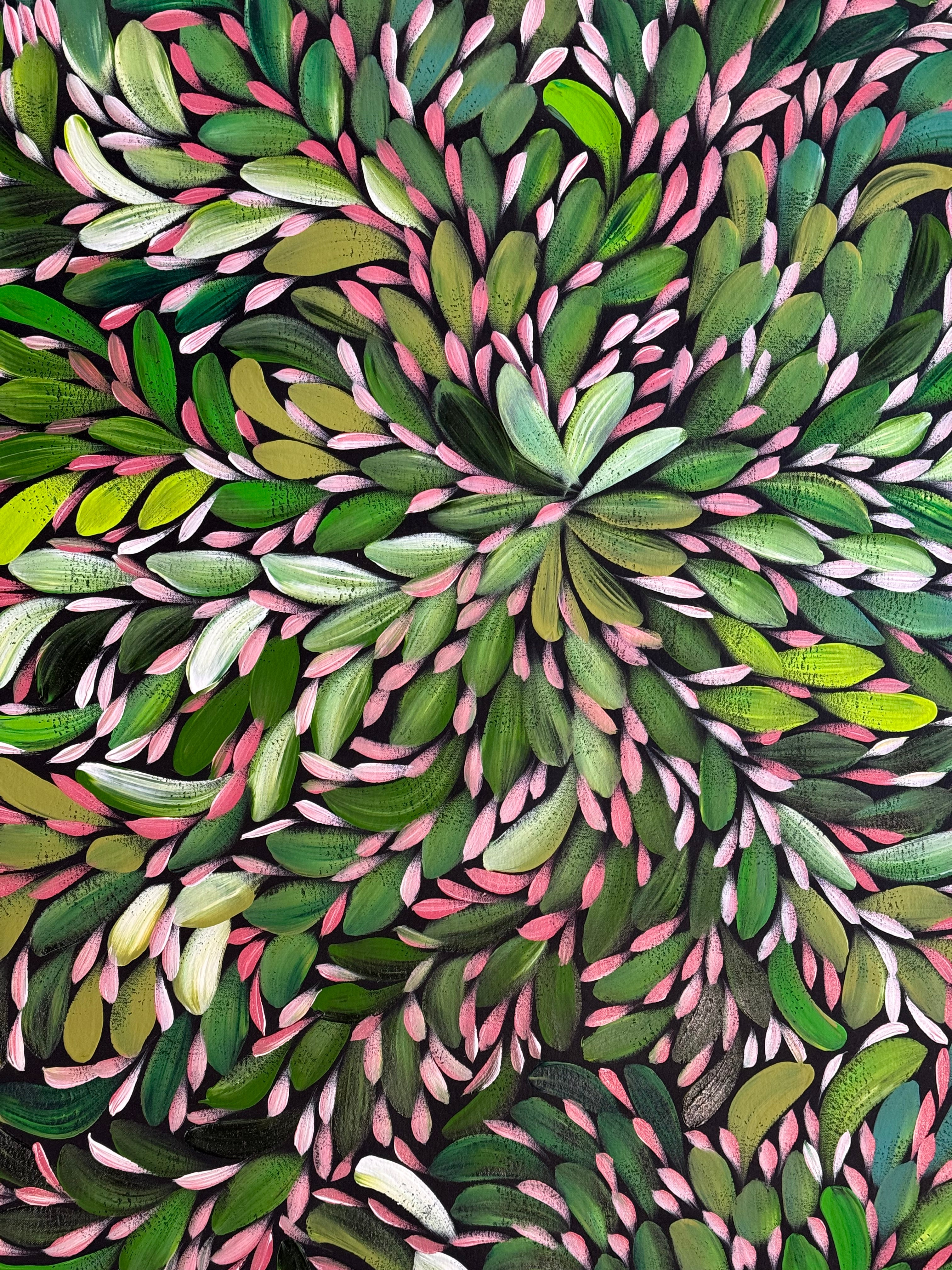 Louise Numina Napananka - Bush Medicine Leaves .22-31