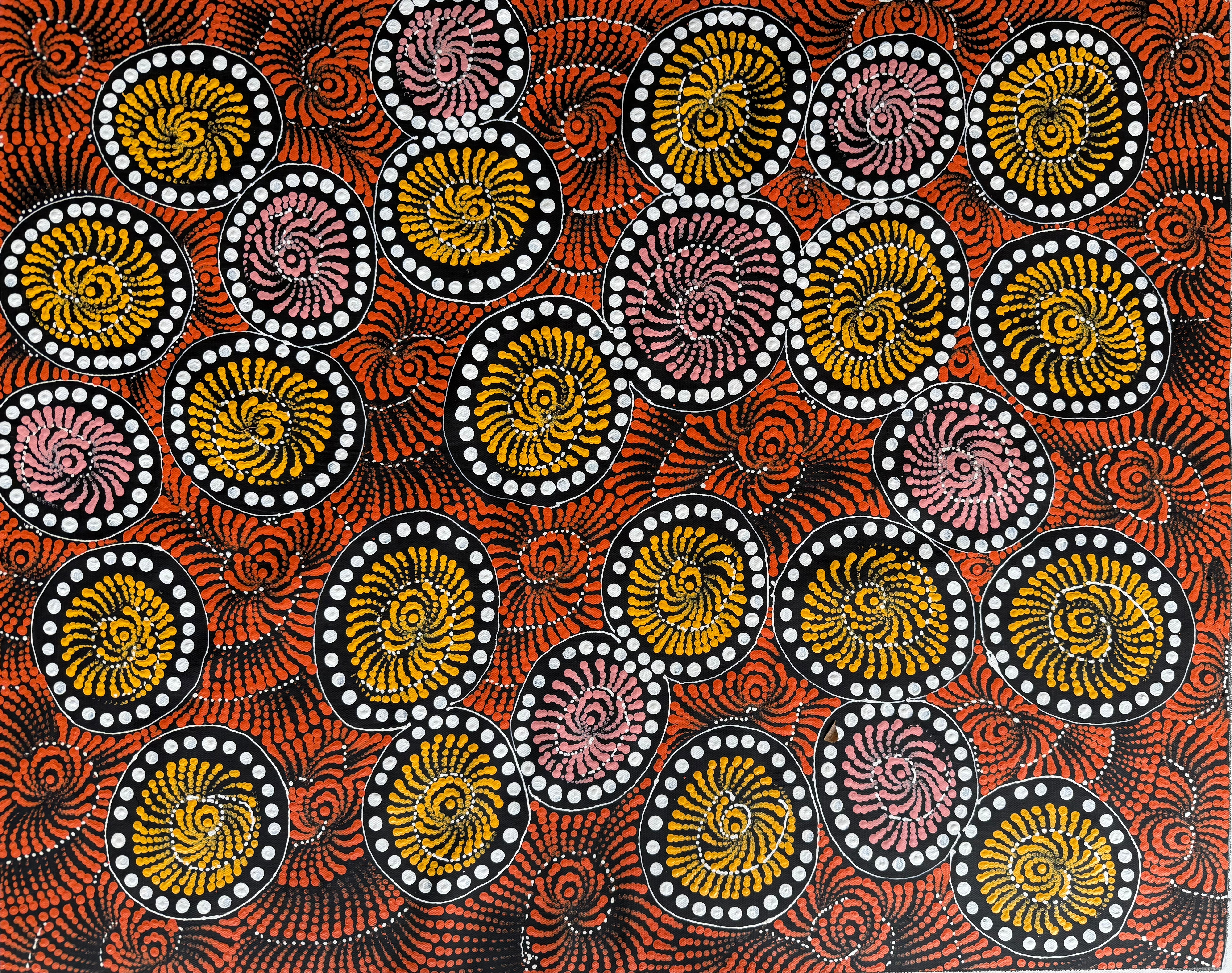 Maria Nampijinpa Brown - Flying Ants Dreaming (Pamapardu Jukurrpa) .78-6