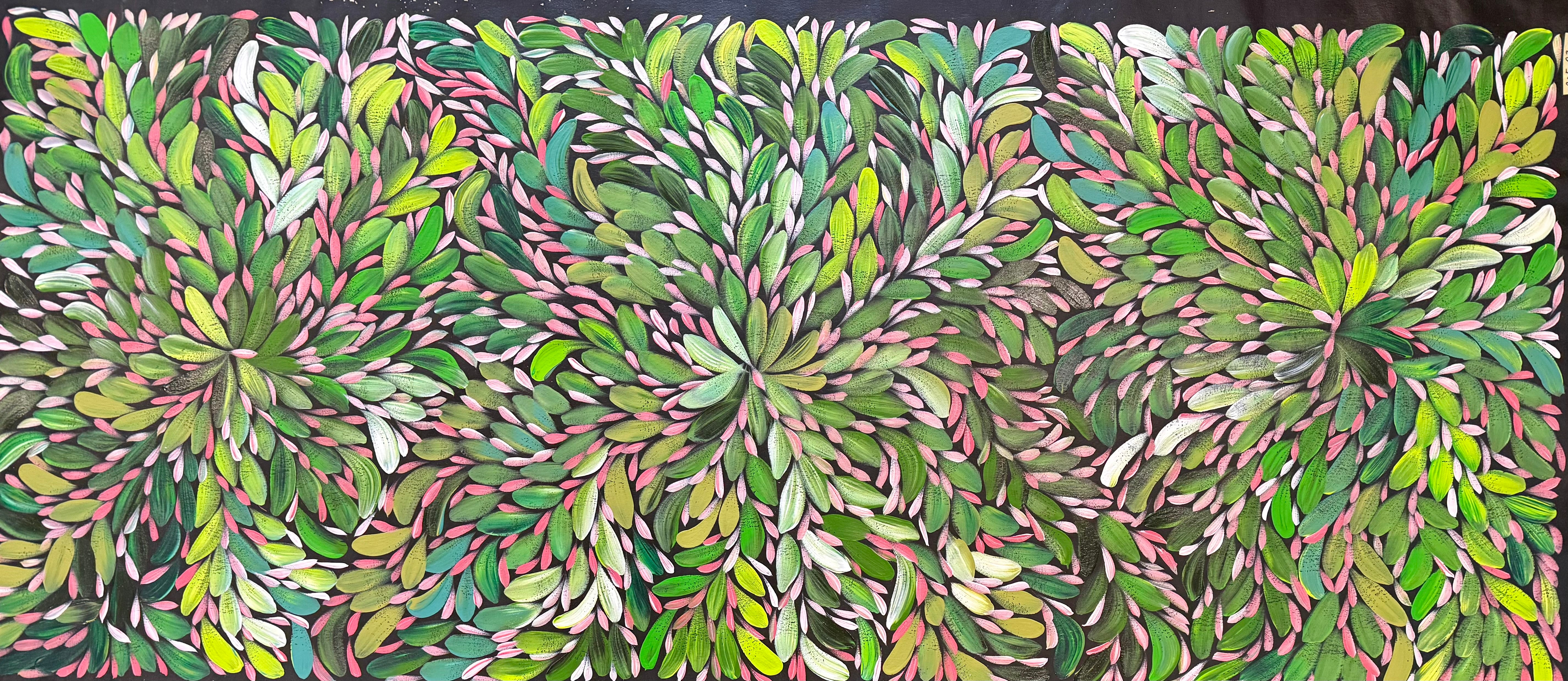 Louise Numina Napananka - Bush Medicine Leaves .22-31