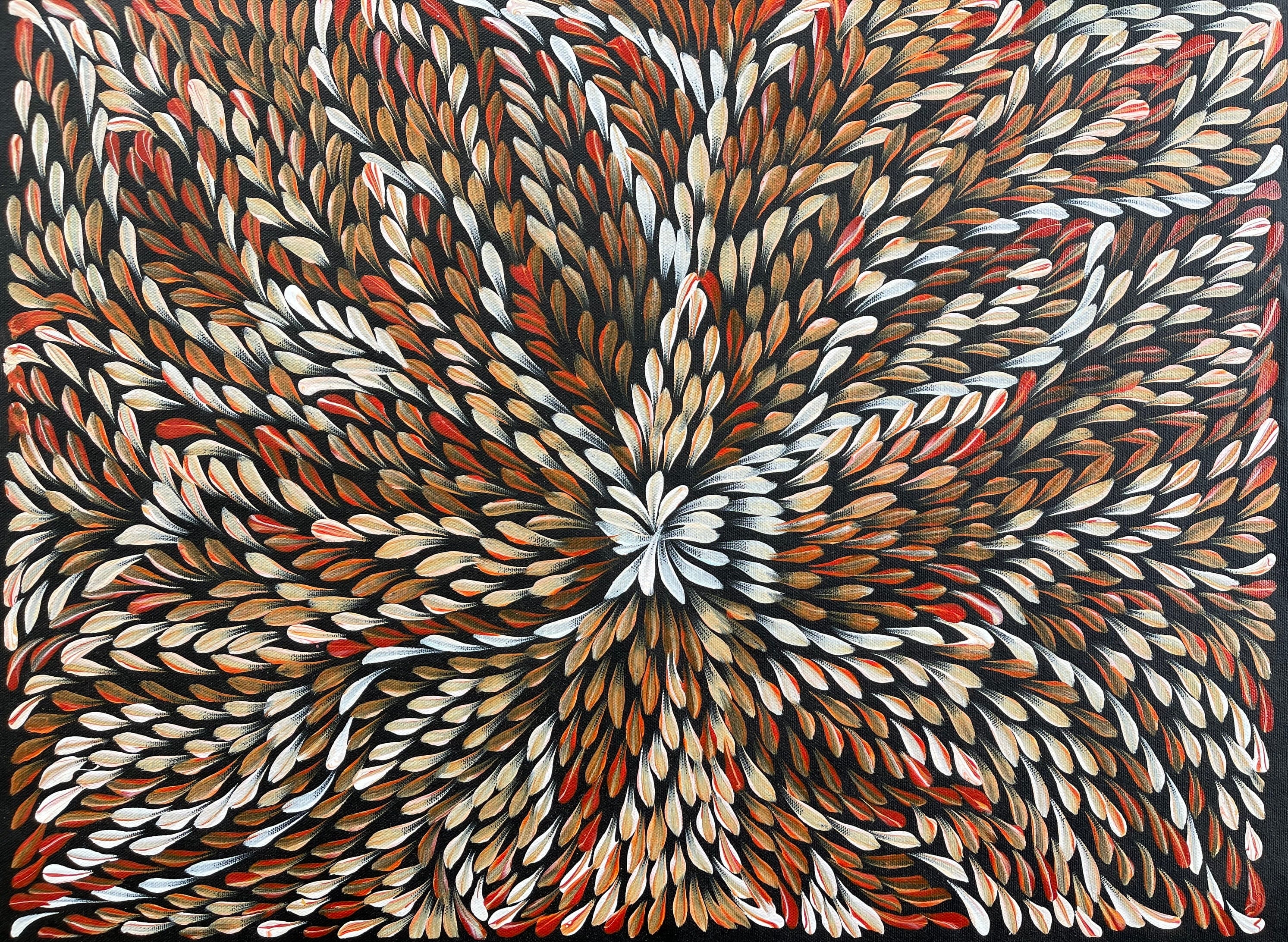 Caroline Numina - Bush Medicine Leaves - 55x41cm .60-2