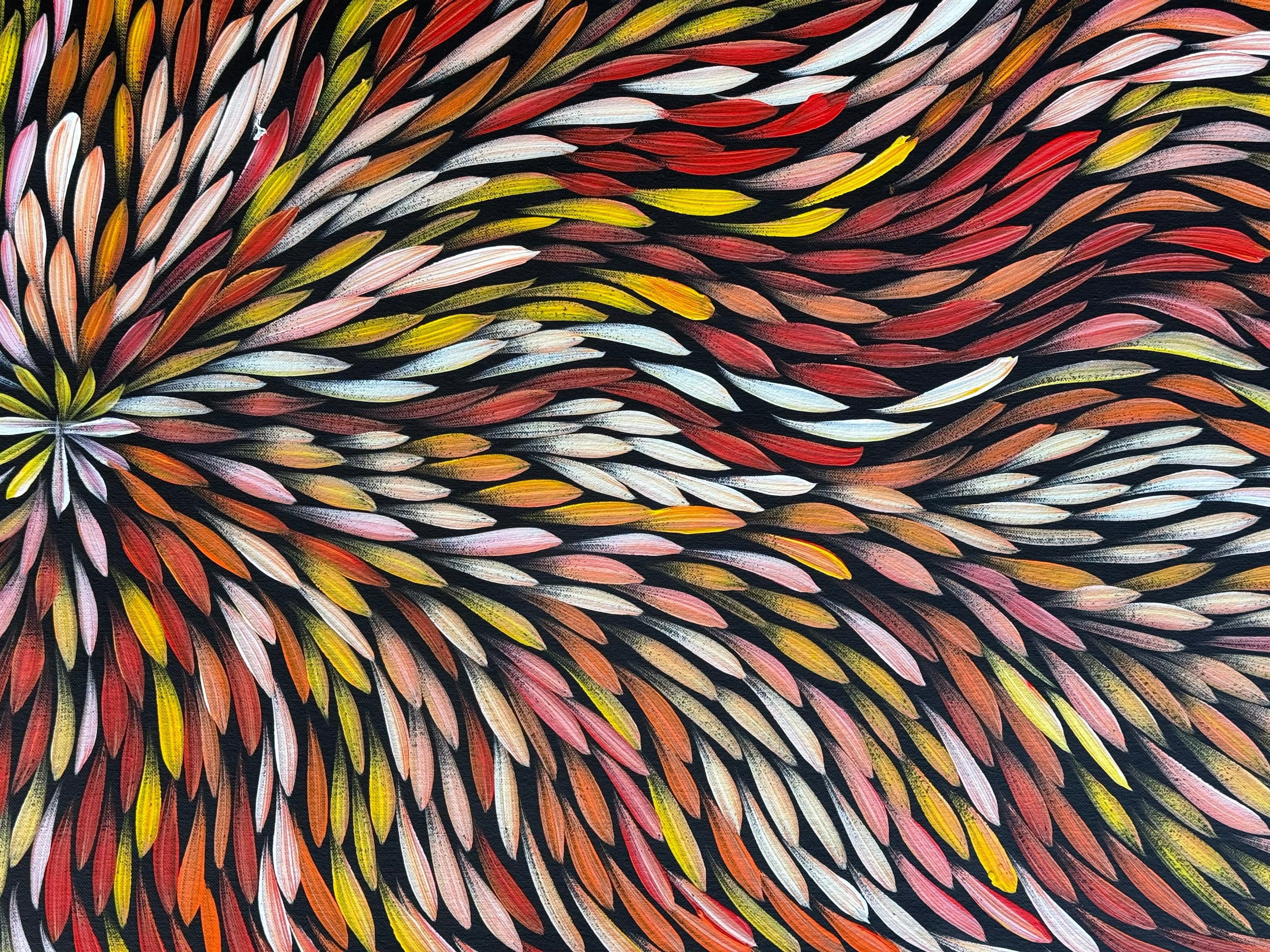 Sharon Numina - Bush Medicine Leaves .50-16