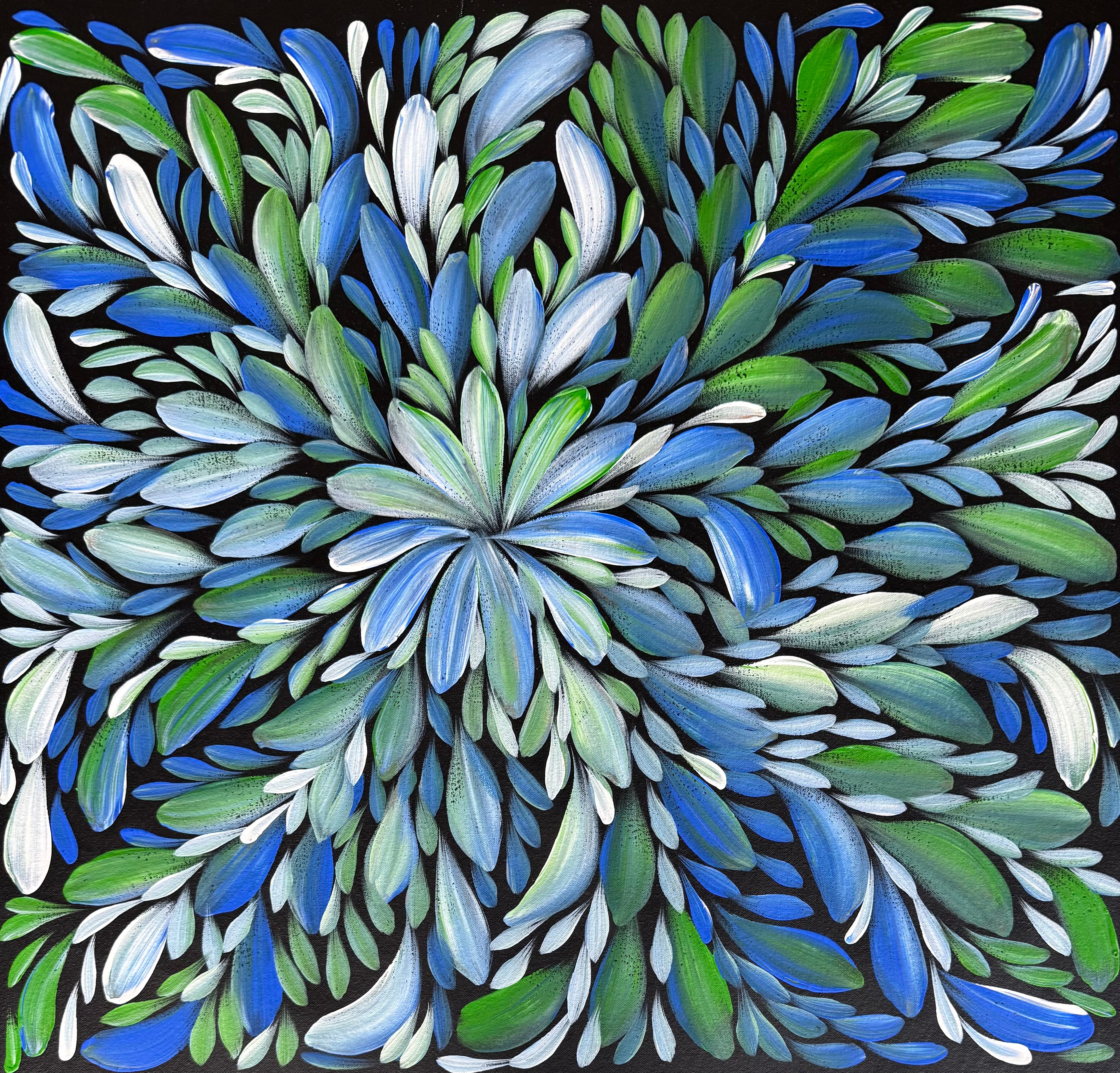 Louise Numina Napananka - Bush Medicine Leaves .16-51