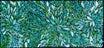 Louise Numina Napananka - Bush Medicine Leaves, Healing Leaves  .57-52