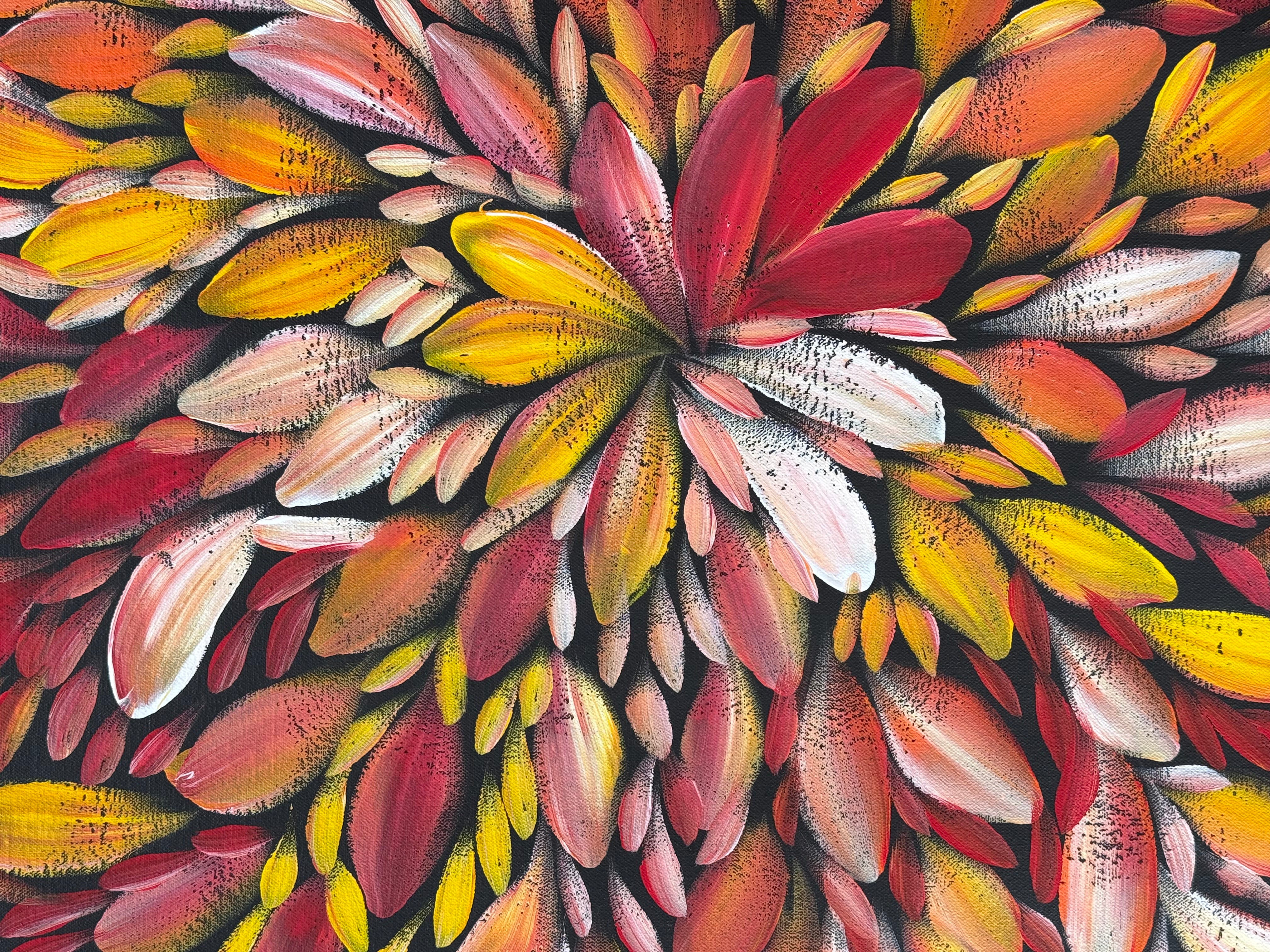 Louise Numina Napananka - Bush Medicine Leaves .75-15