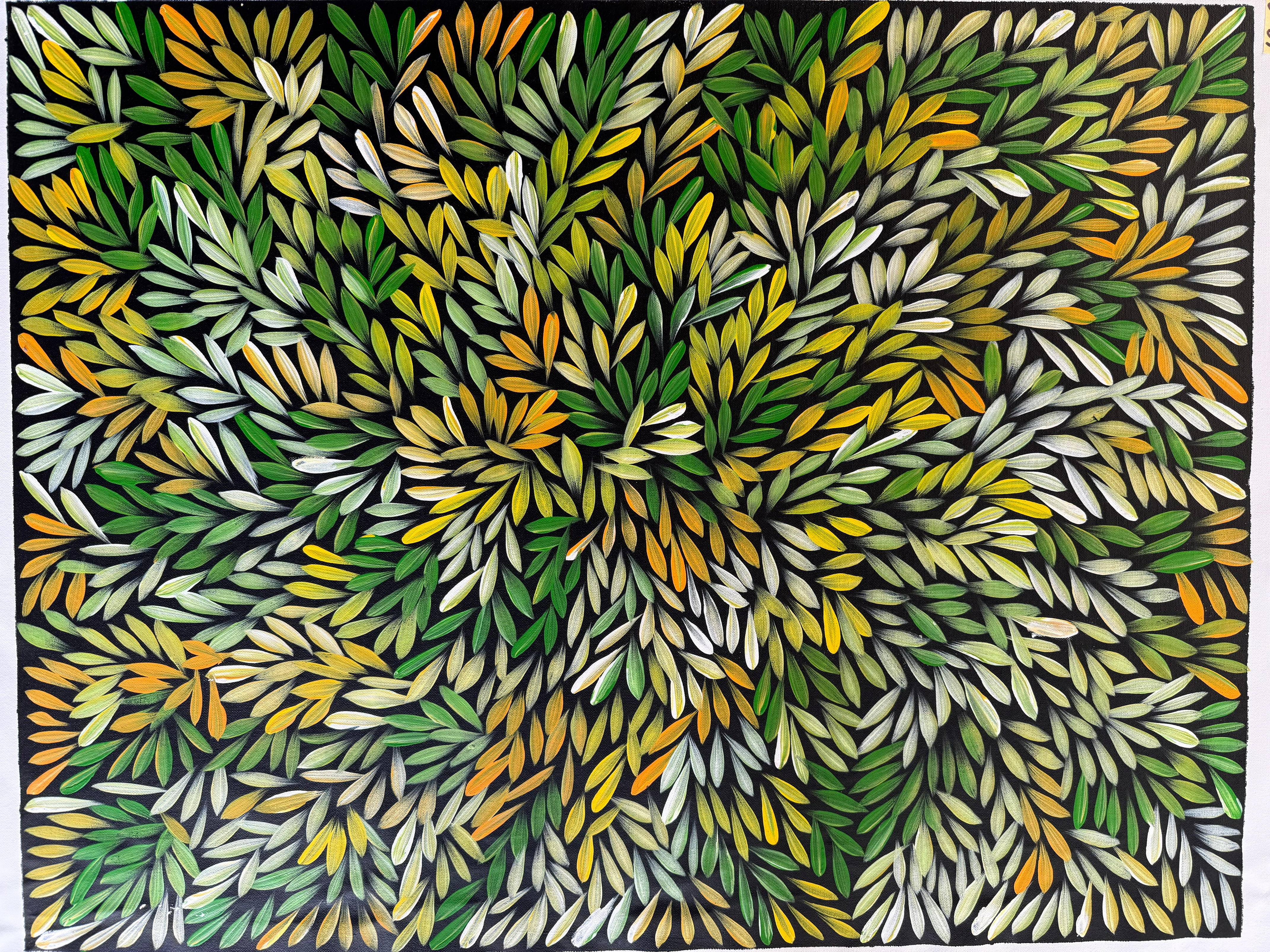 Sharon Numina - Bush Medicine Leaves - 69x89cm .14-61