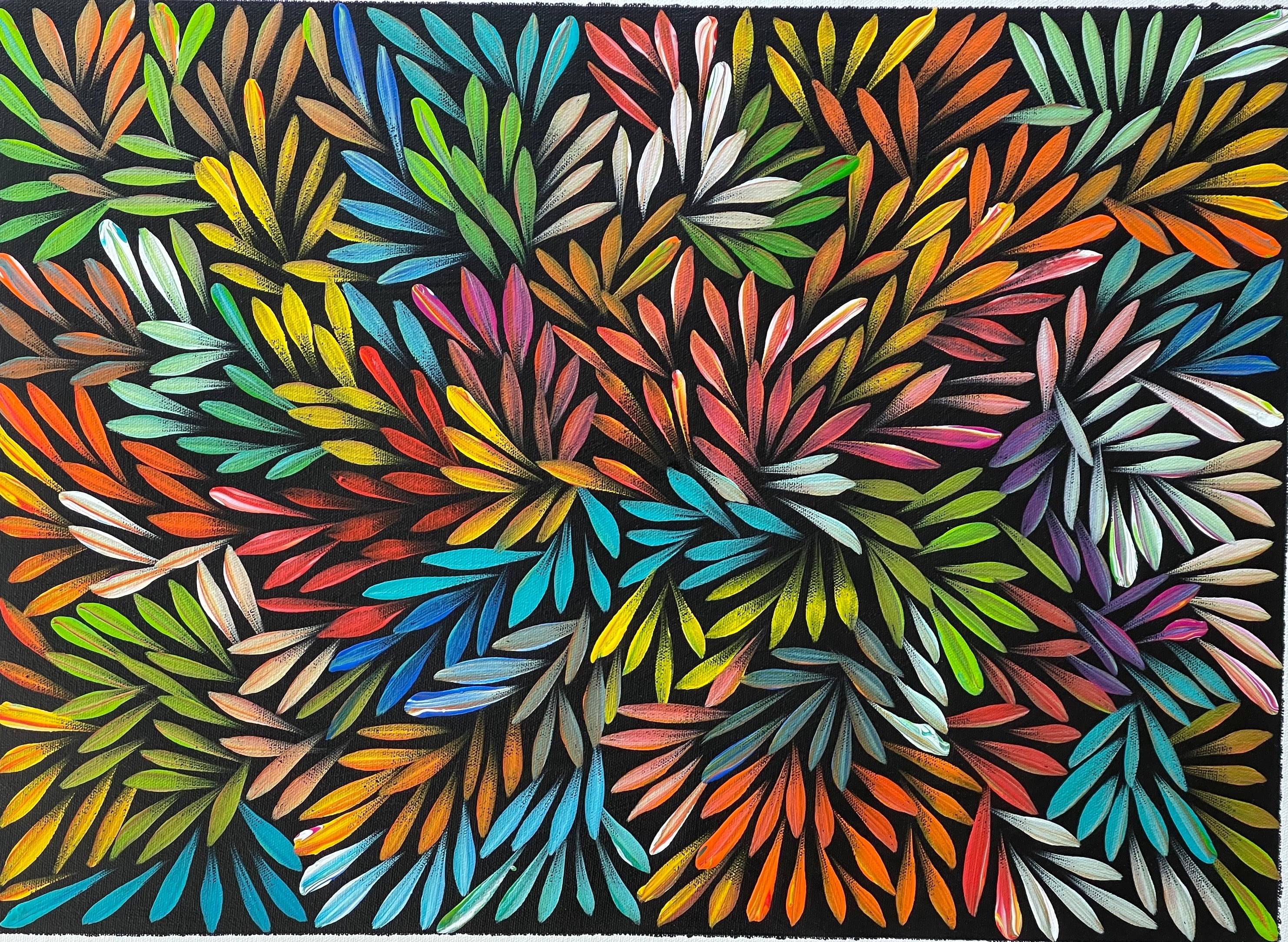 Sharon Numina - Bush Medicine Leaves - 38x53cm .80-12