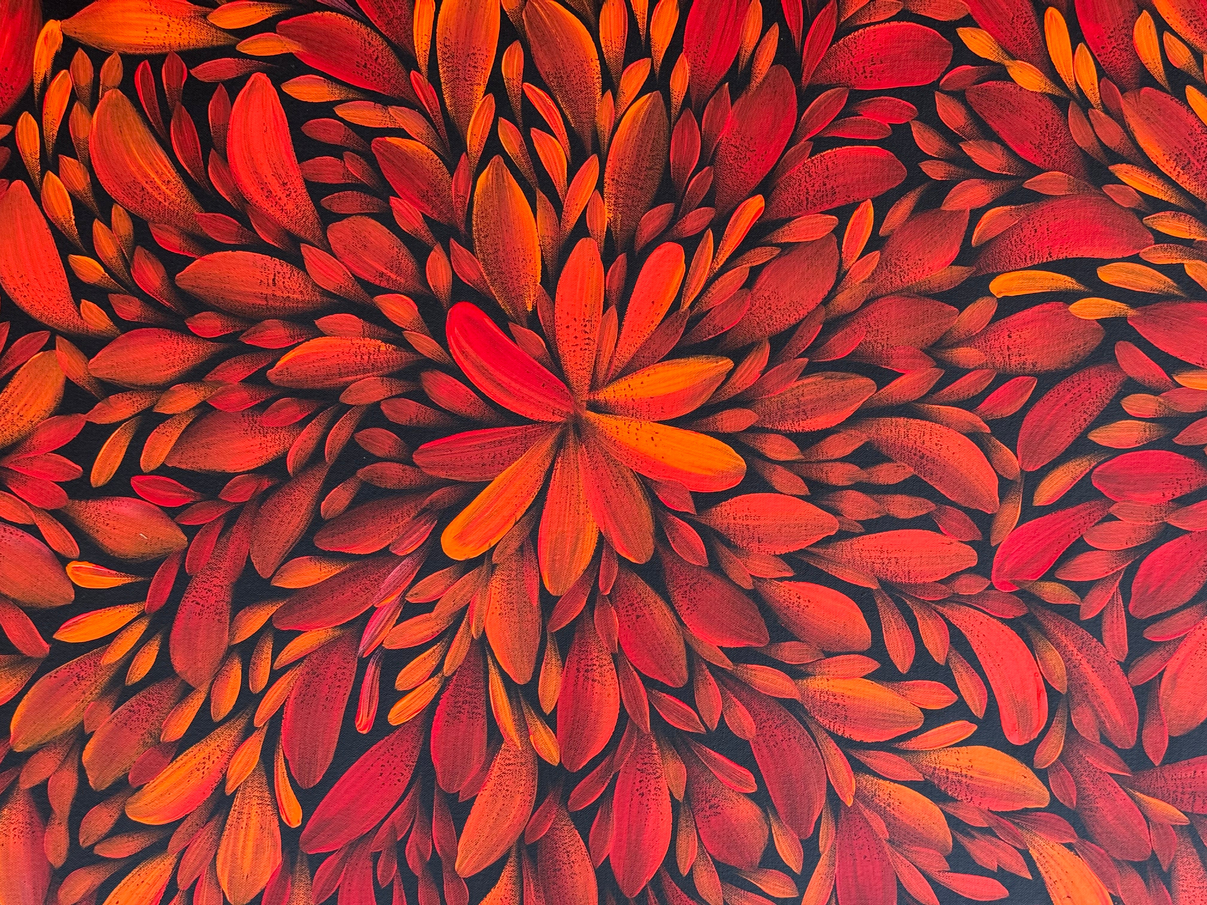 Louise Numina Napananka - Bush Medicine Leaves .57-44