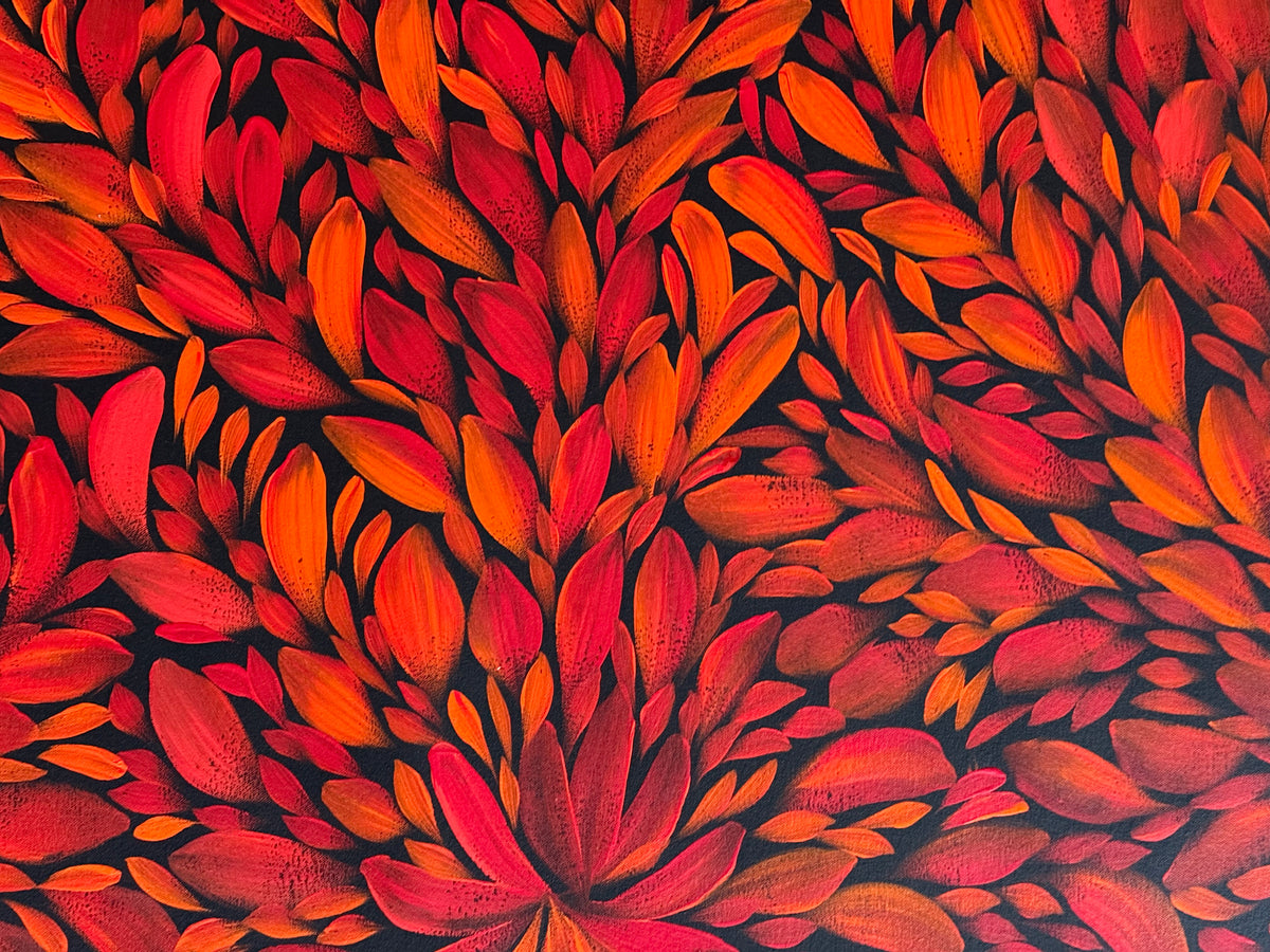 Louise Numina Napananka - Bush Medicine Leaves .36-4